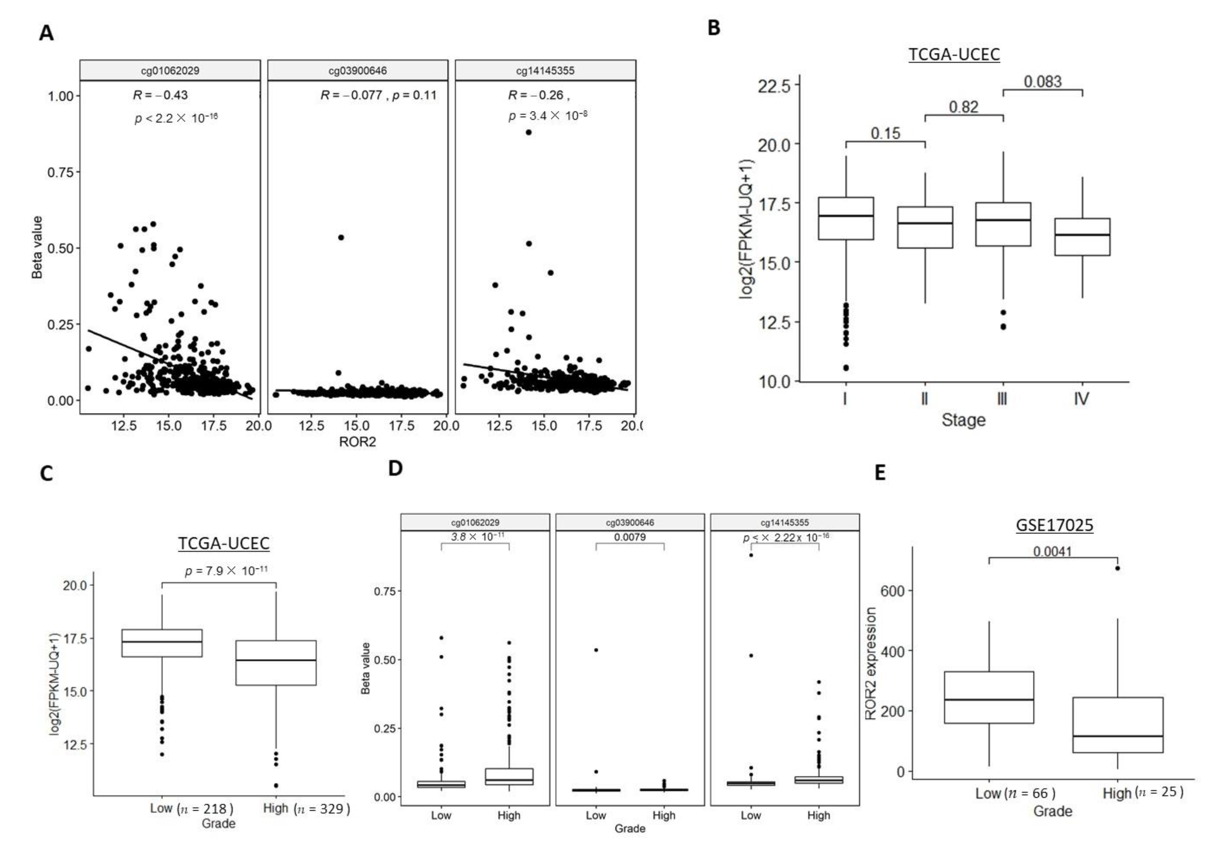 Cancers 13 00383 g002