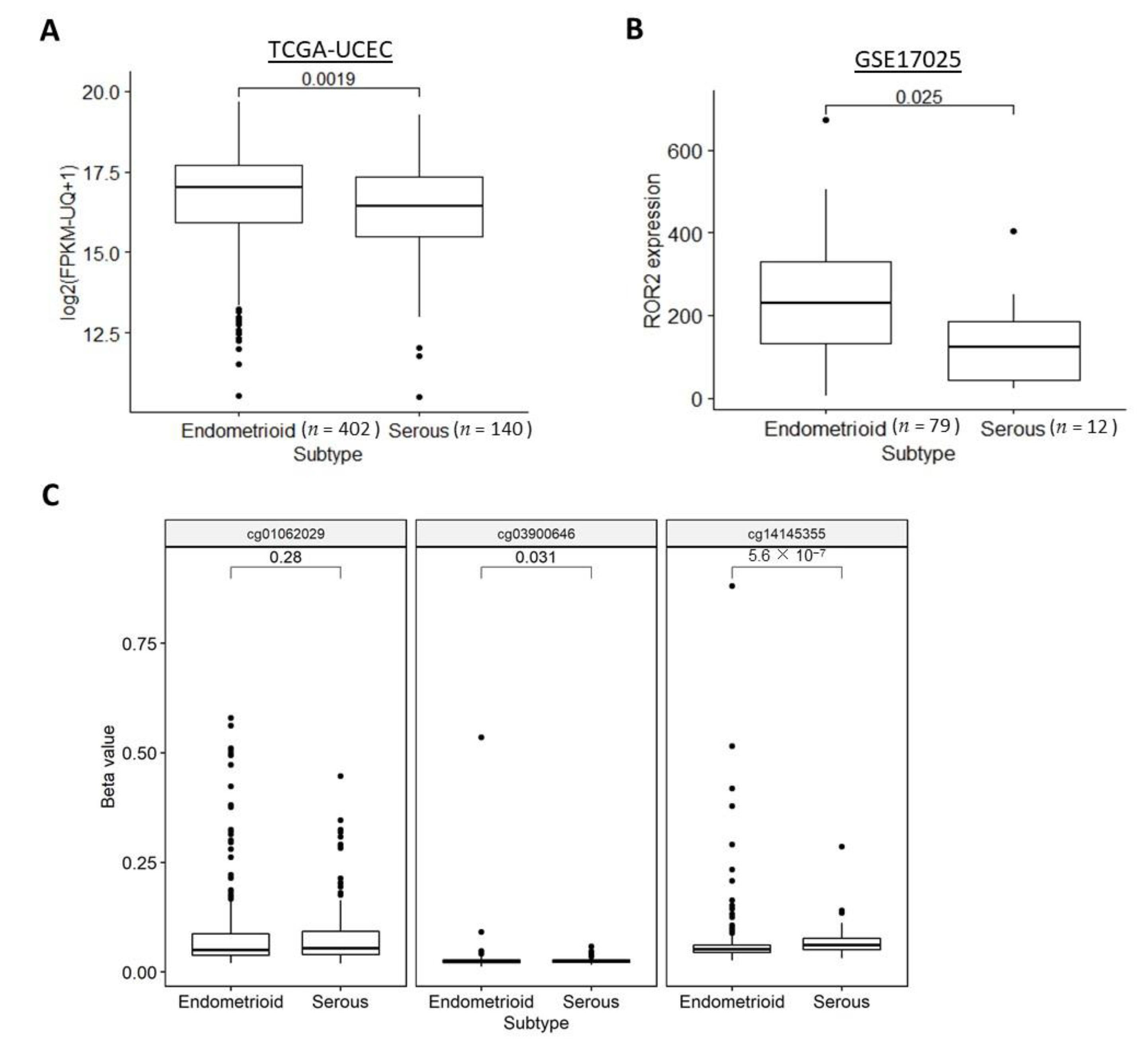 Cancers 13 00383 g003