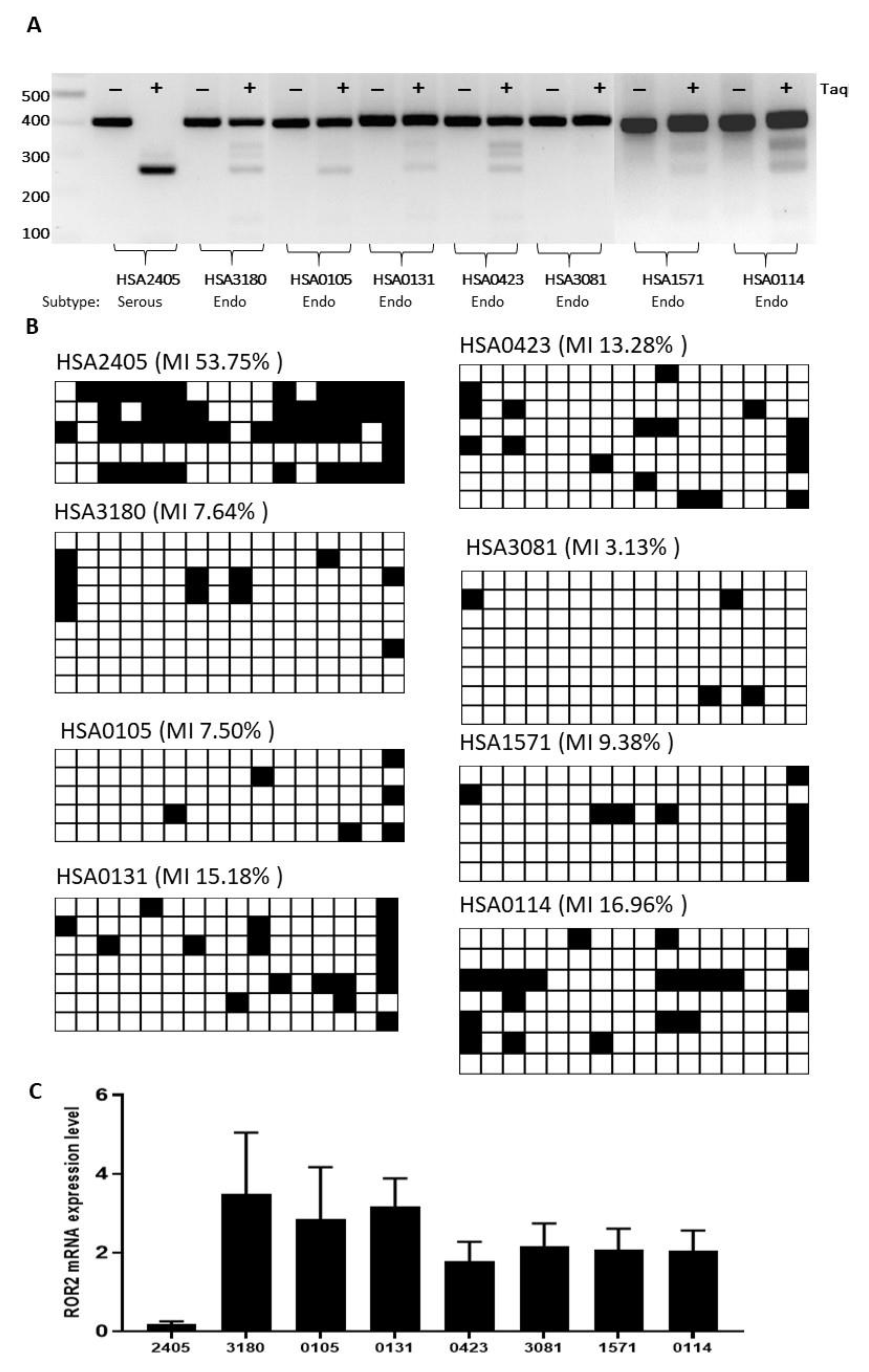 Cancers 13 00383 g005