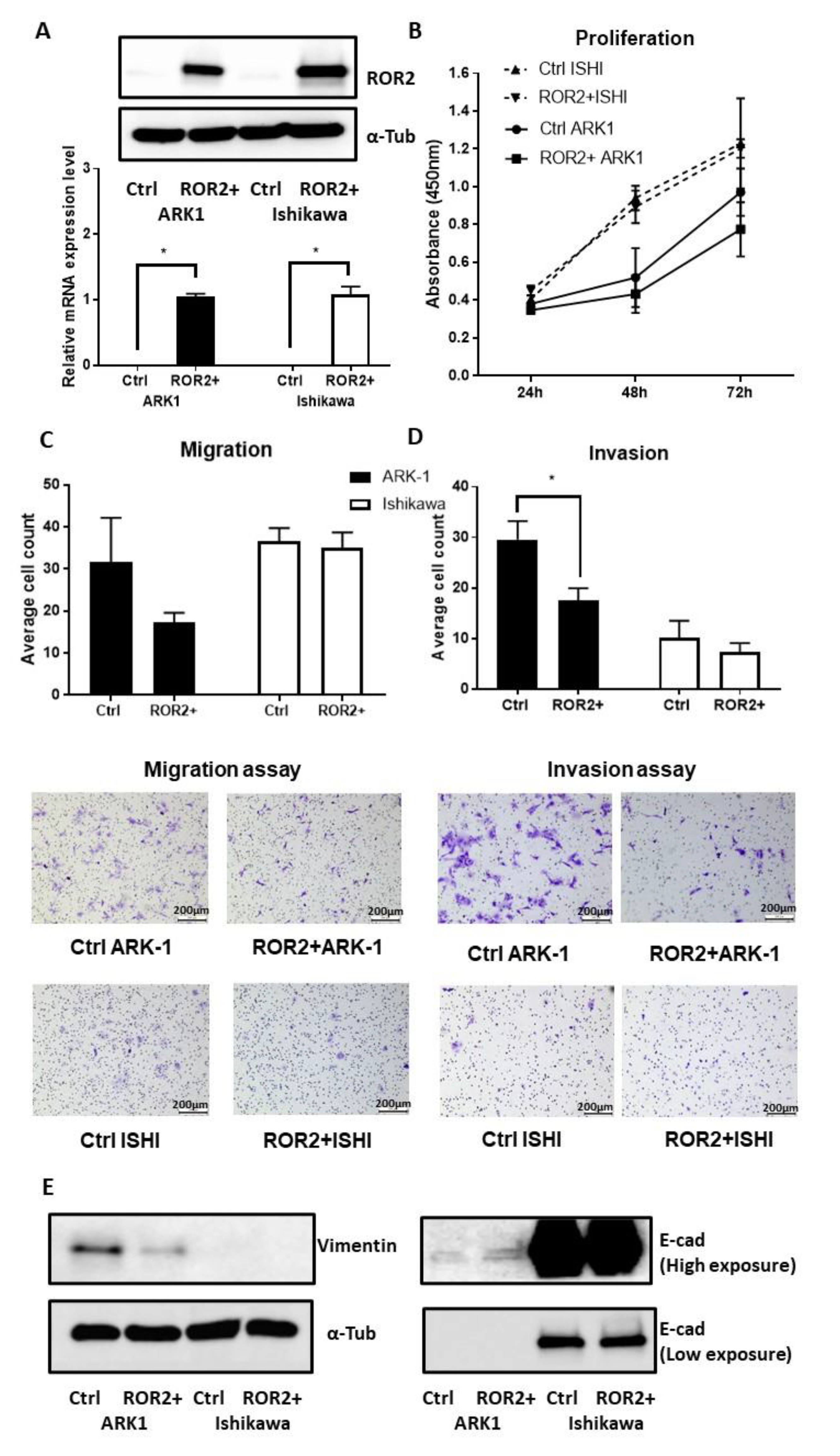 Cancers 13 00383 g006