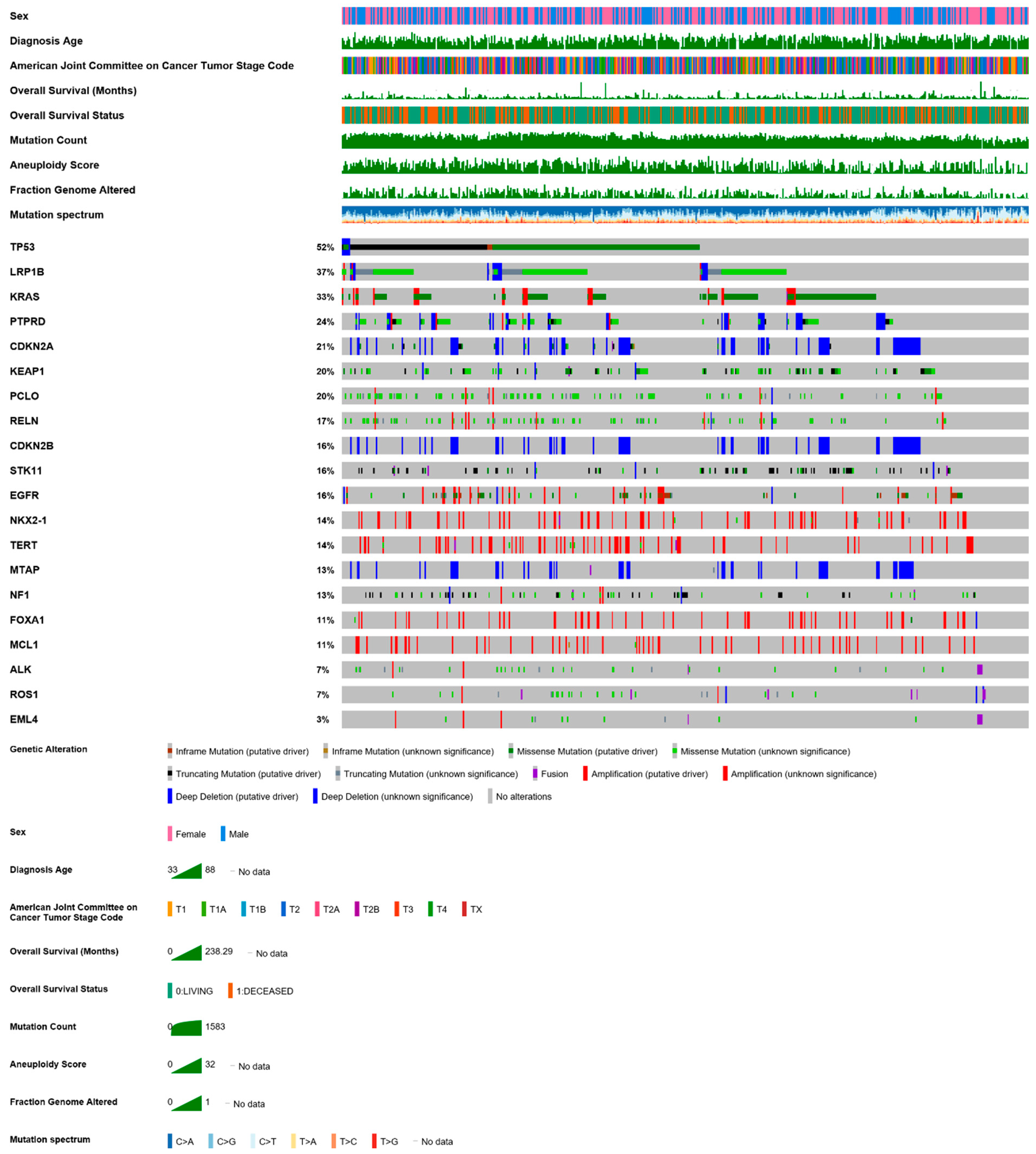 Cancers 13 00384 g001
