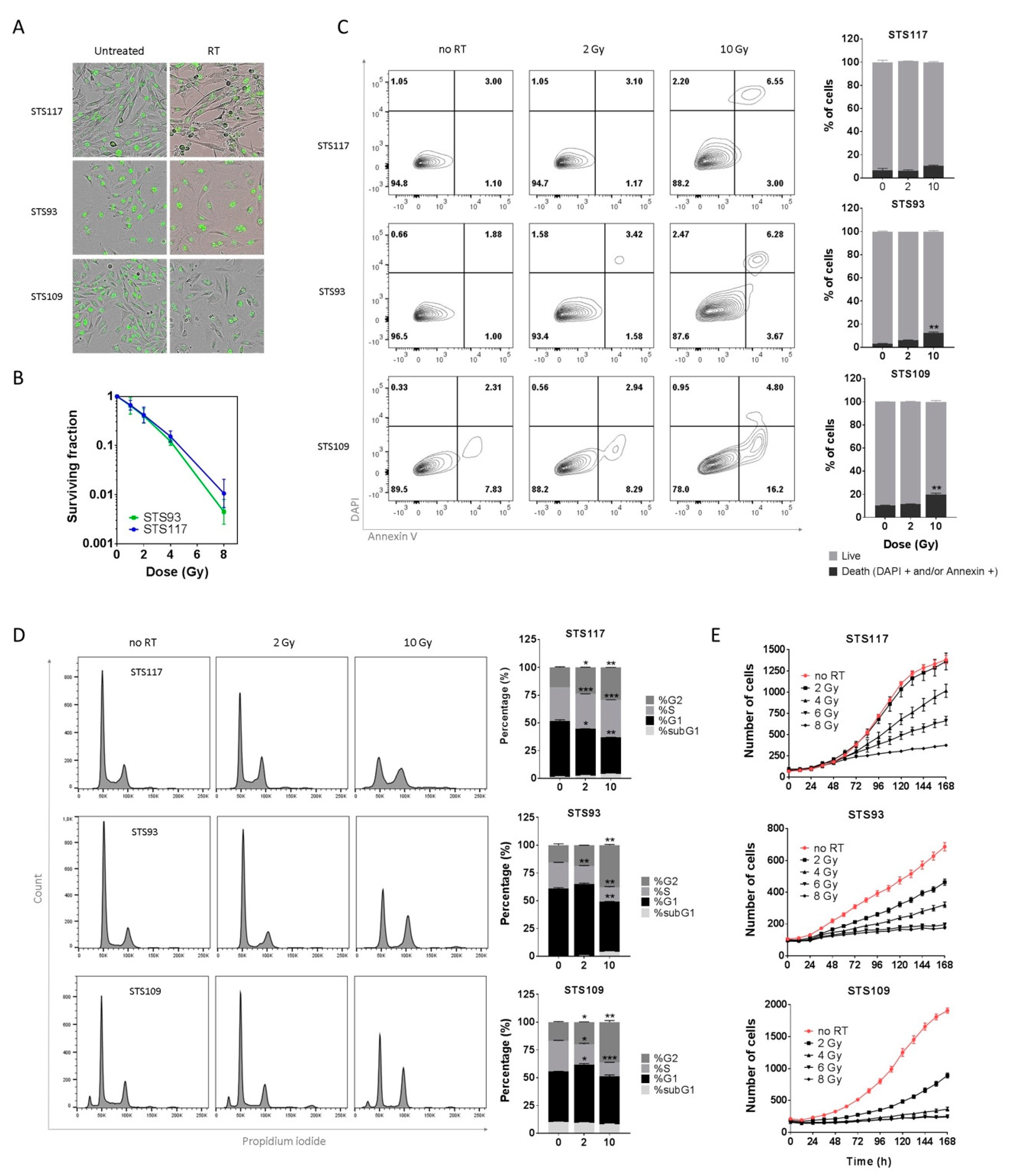 Cancers 13 00386 g001