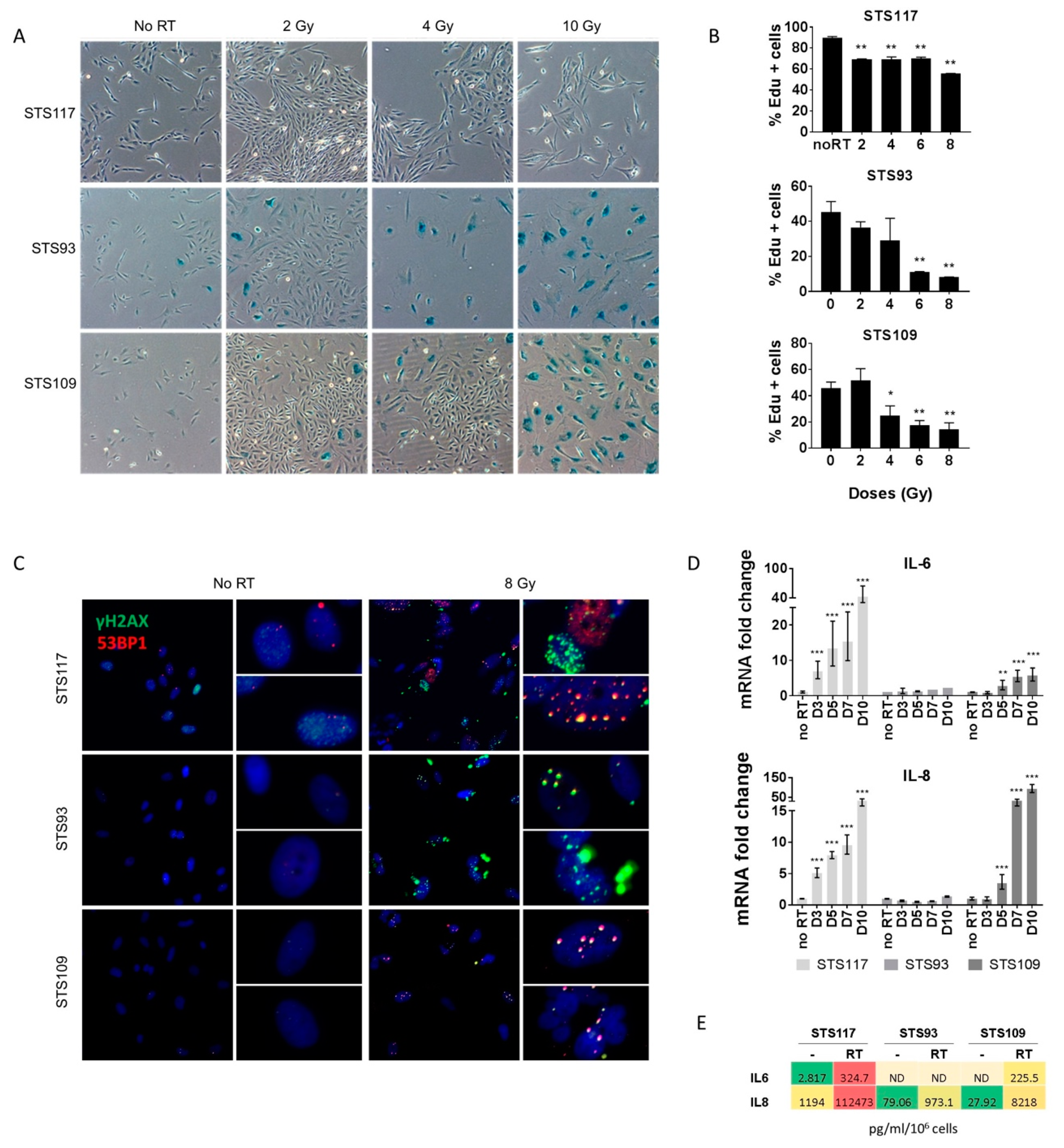 Cancers 13 00386 g002