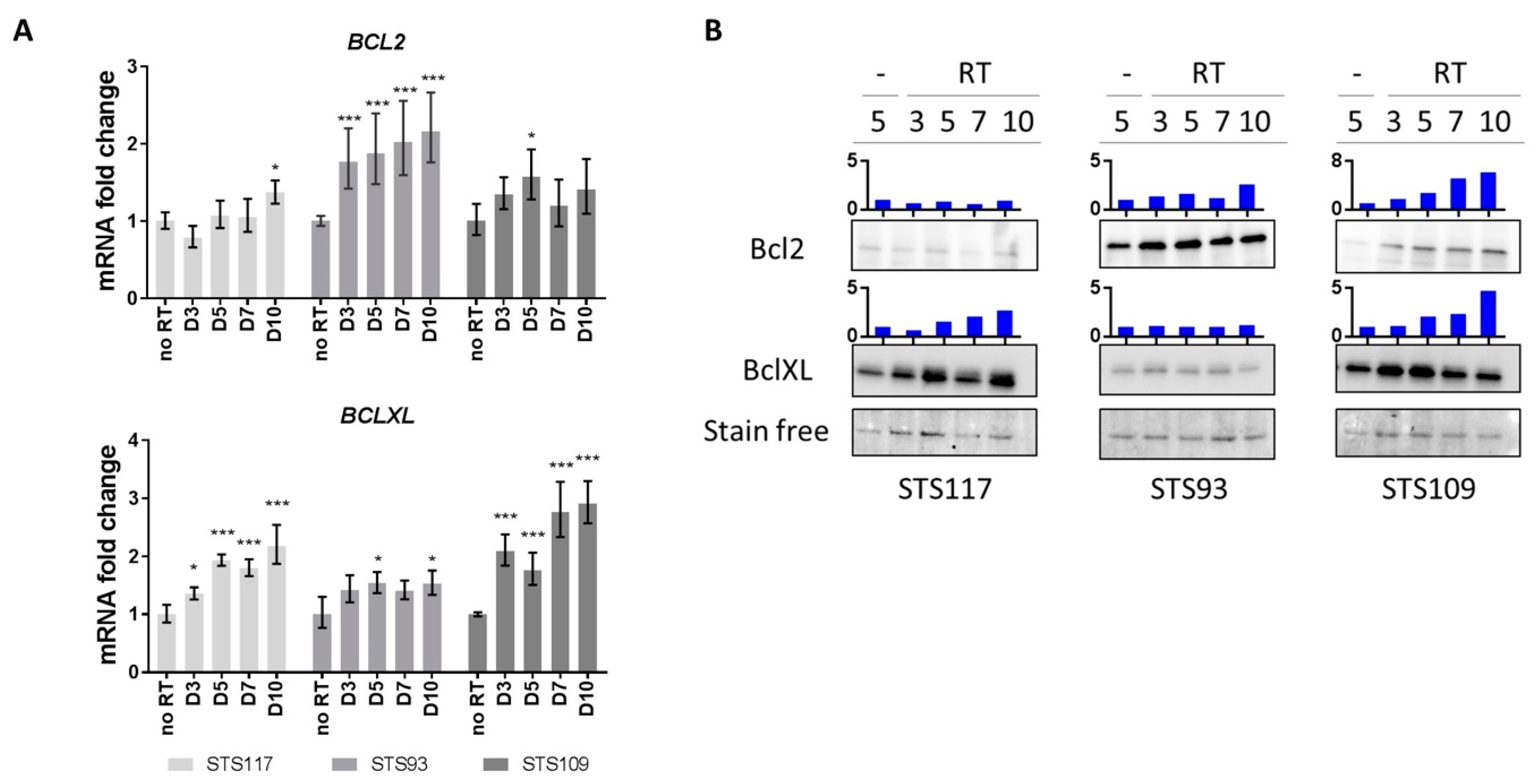 Cancers 13 00386 g003
