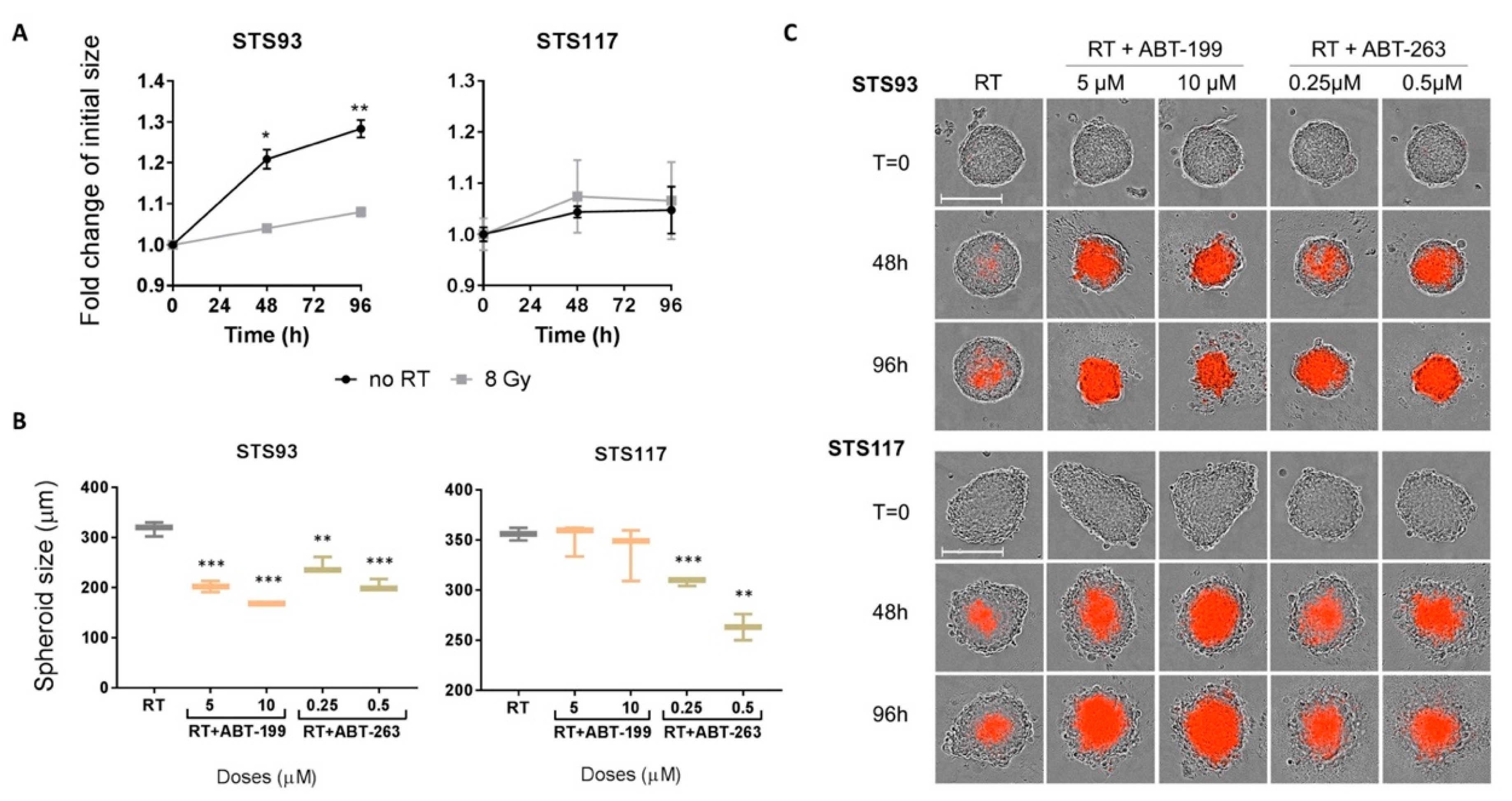 Cancers 13 00386 g005