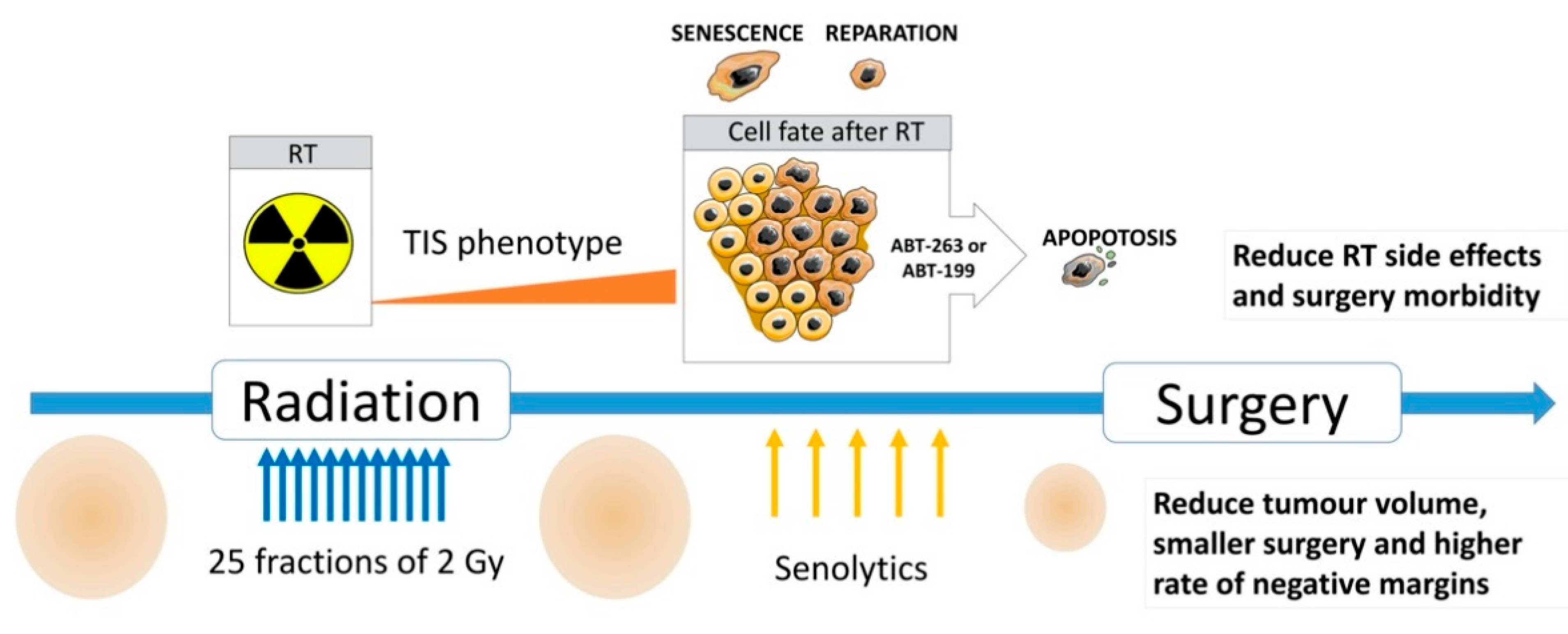 Cancers 13 00386 g006