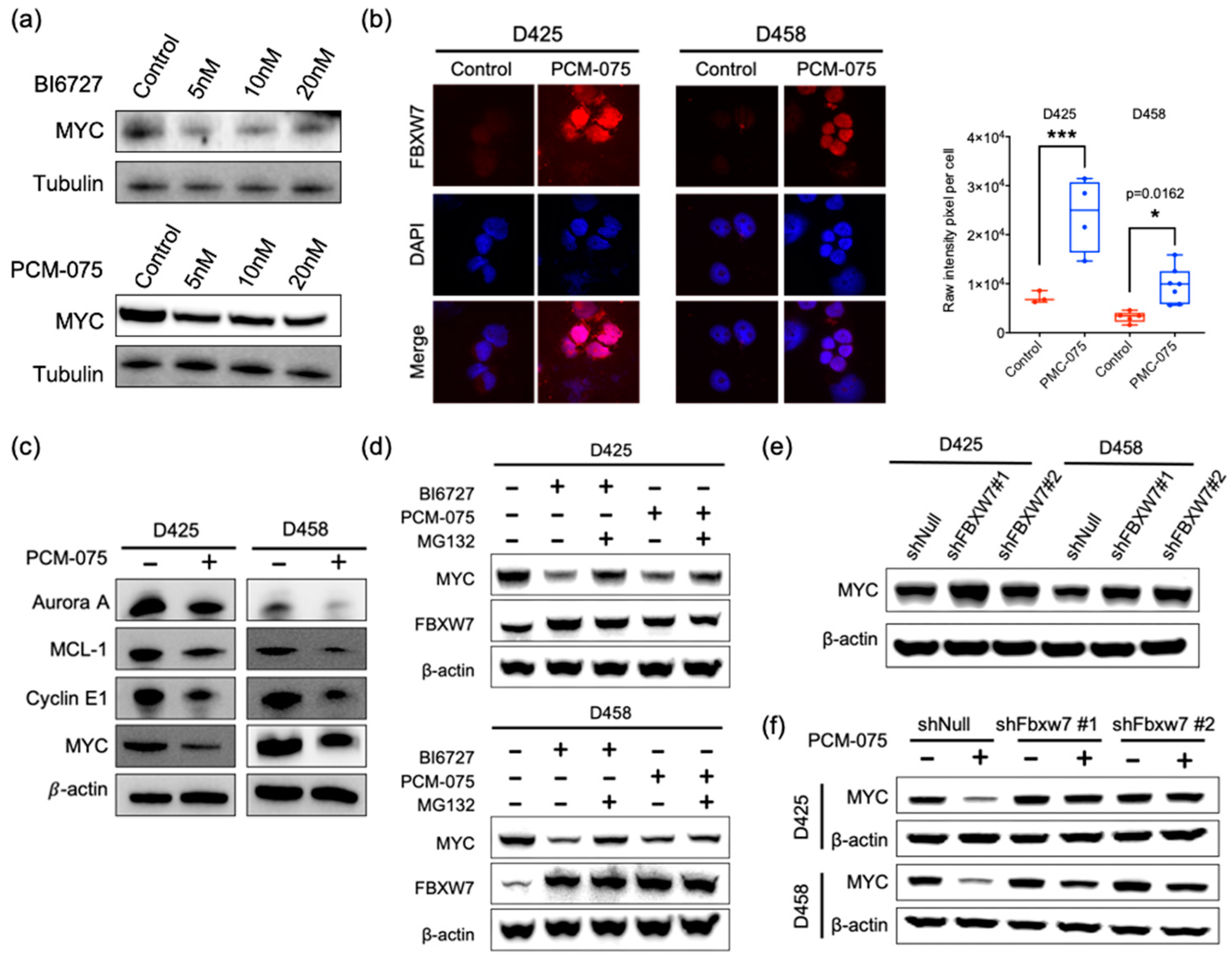 Cancers 13 00387 g002