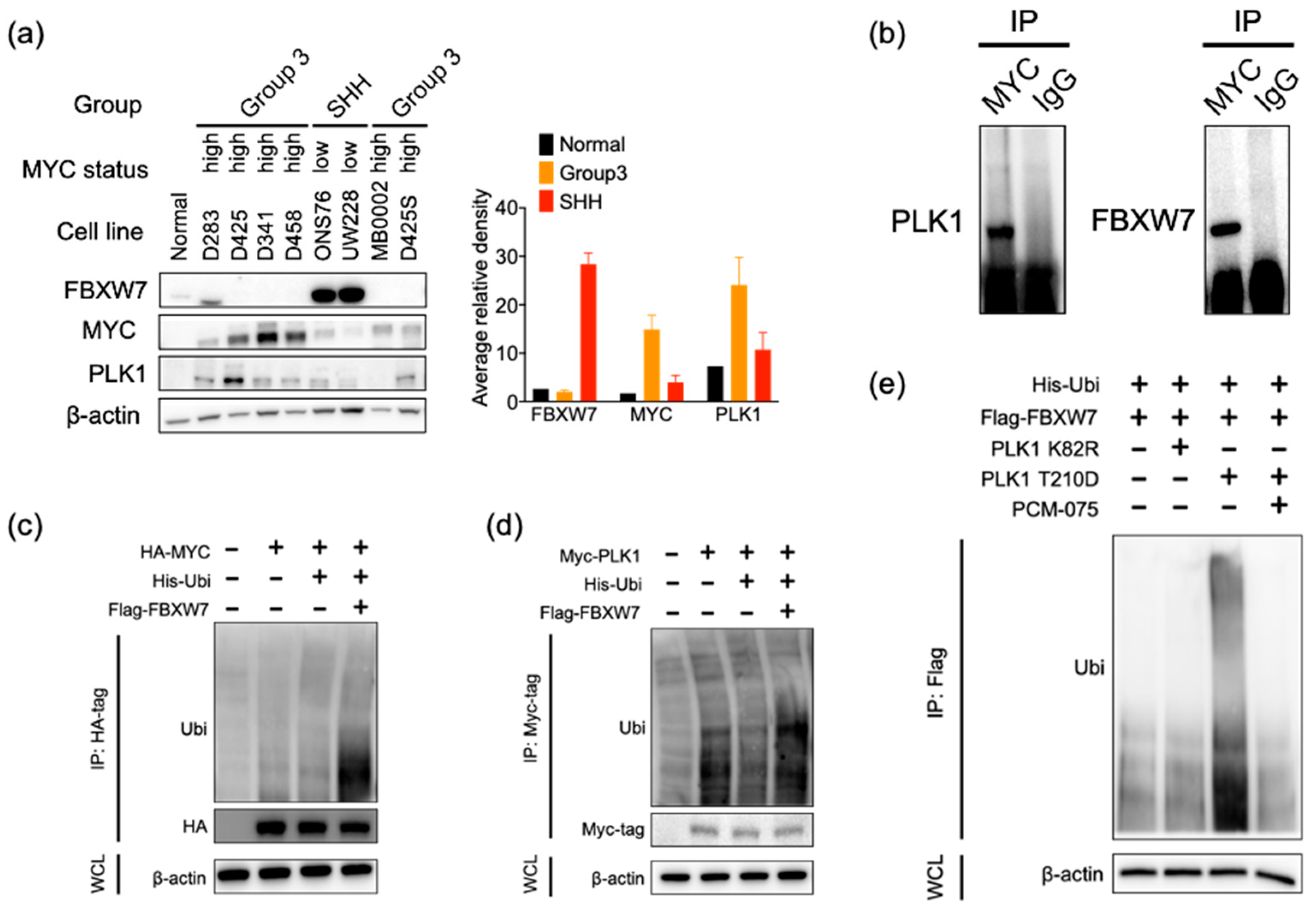 Cancers 13 00387 g003