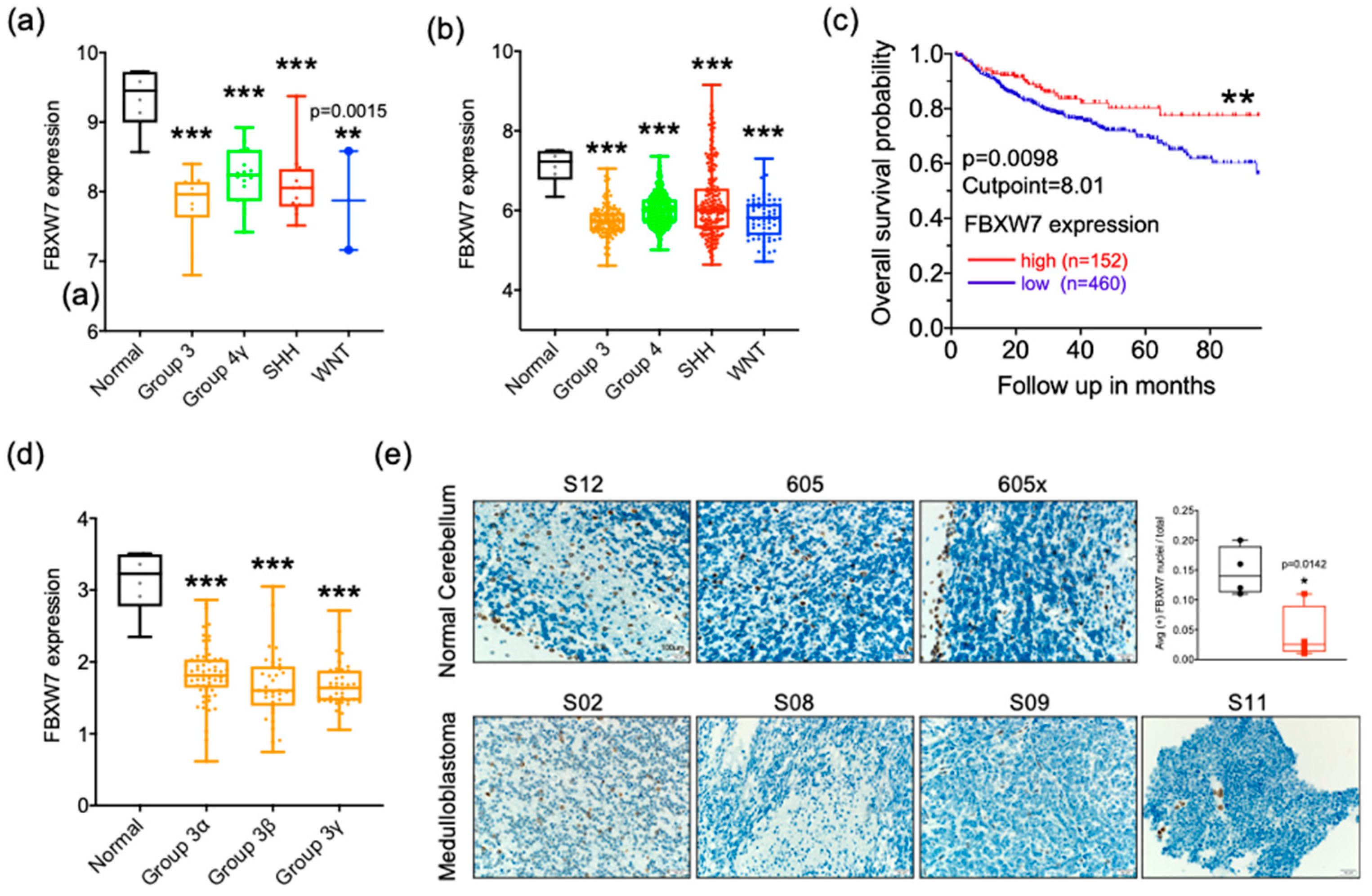 Cancers 13 00387 g004