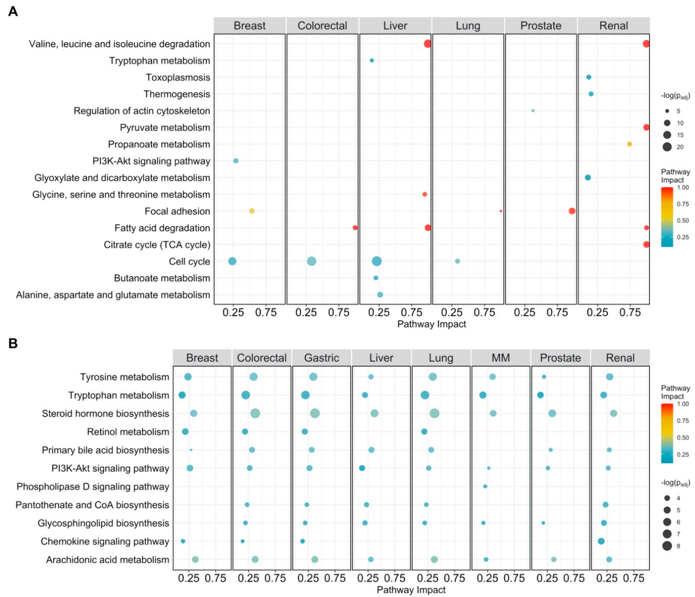 Cancers 13 00393 g003