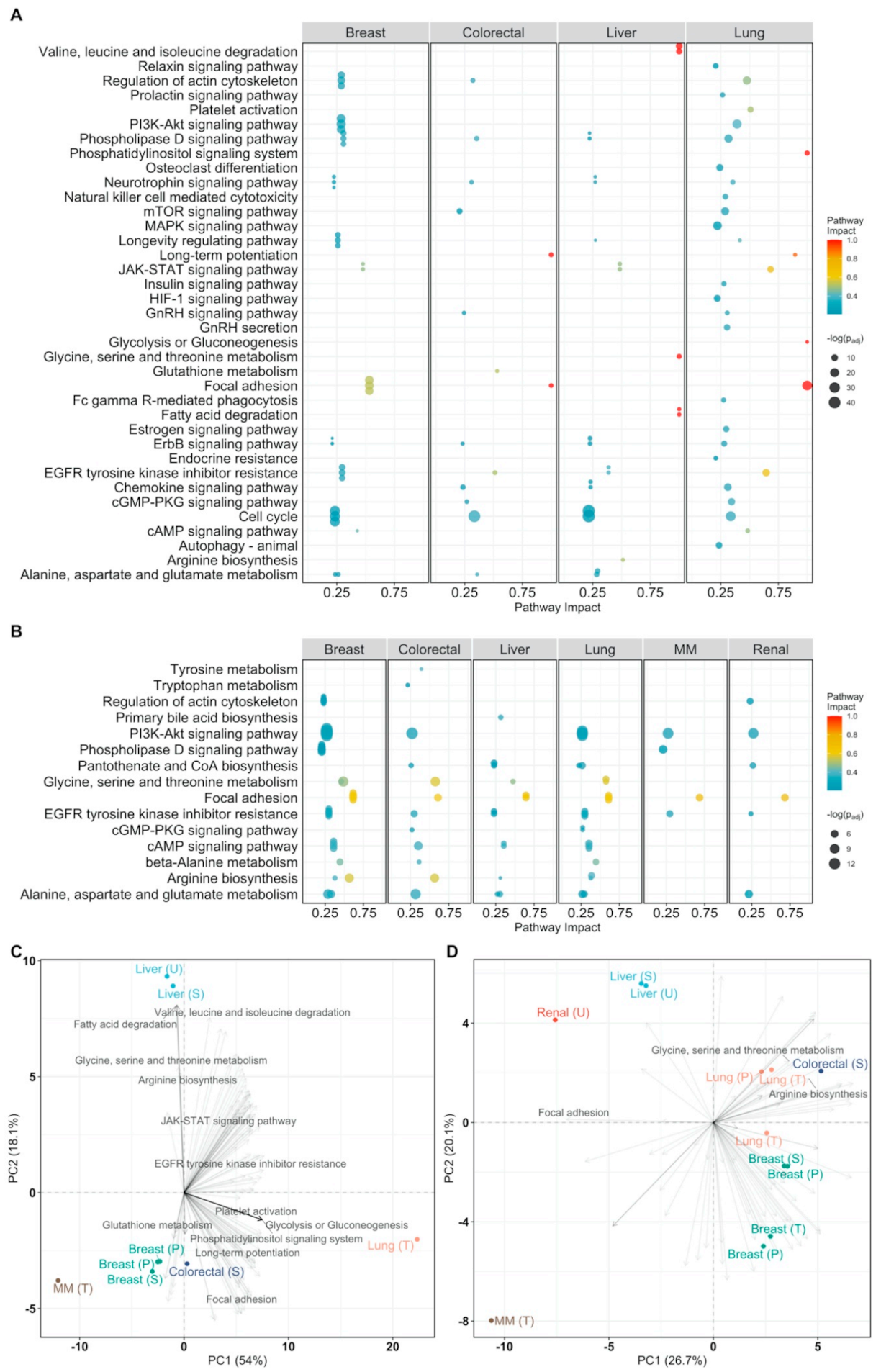 Cancers 13 00393 g005