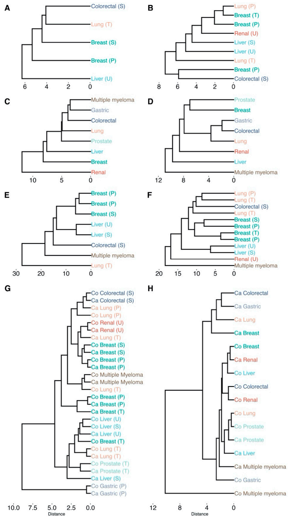 Cancers 13 00393 g006
