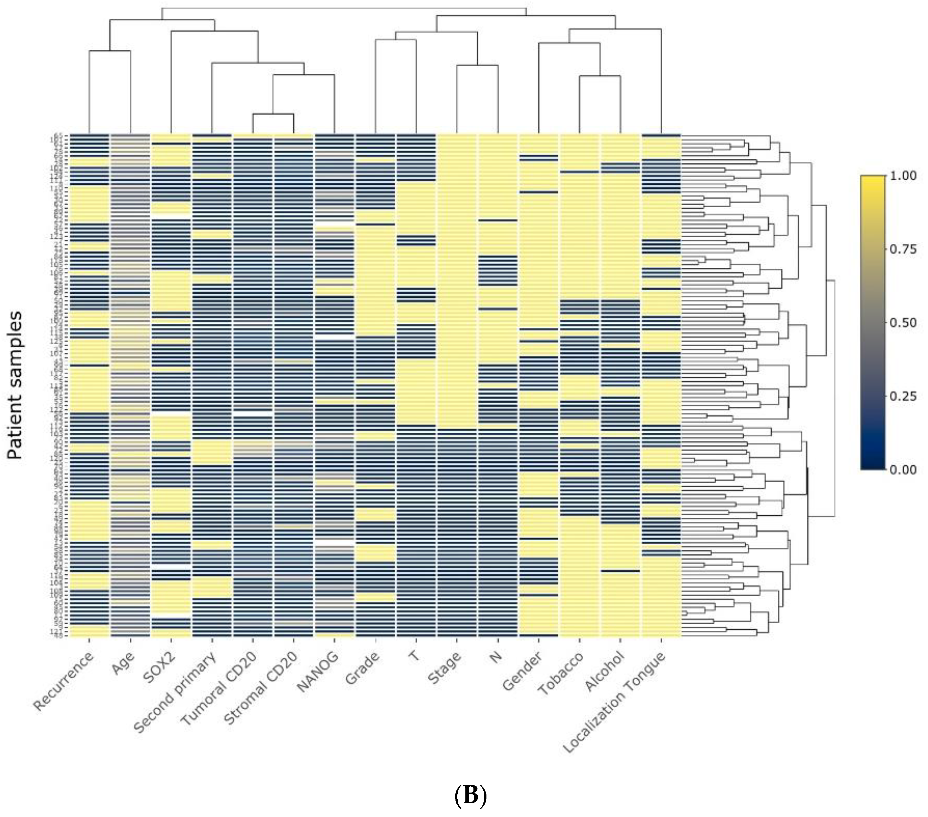 Cancers 13 00395 g002b Cancers 13 00395 g002b