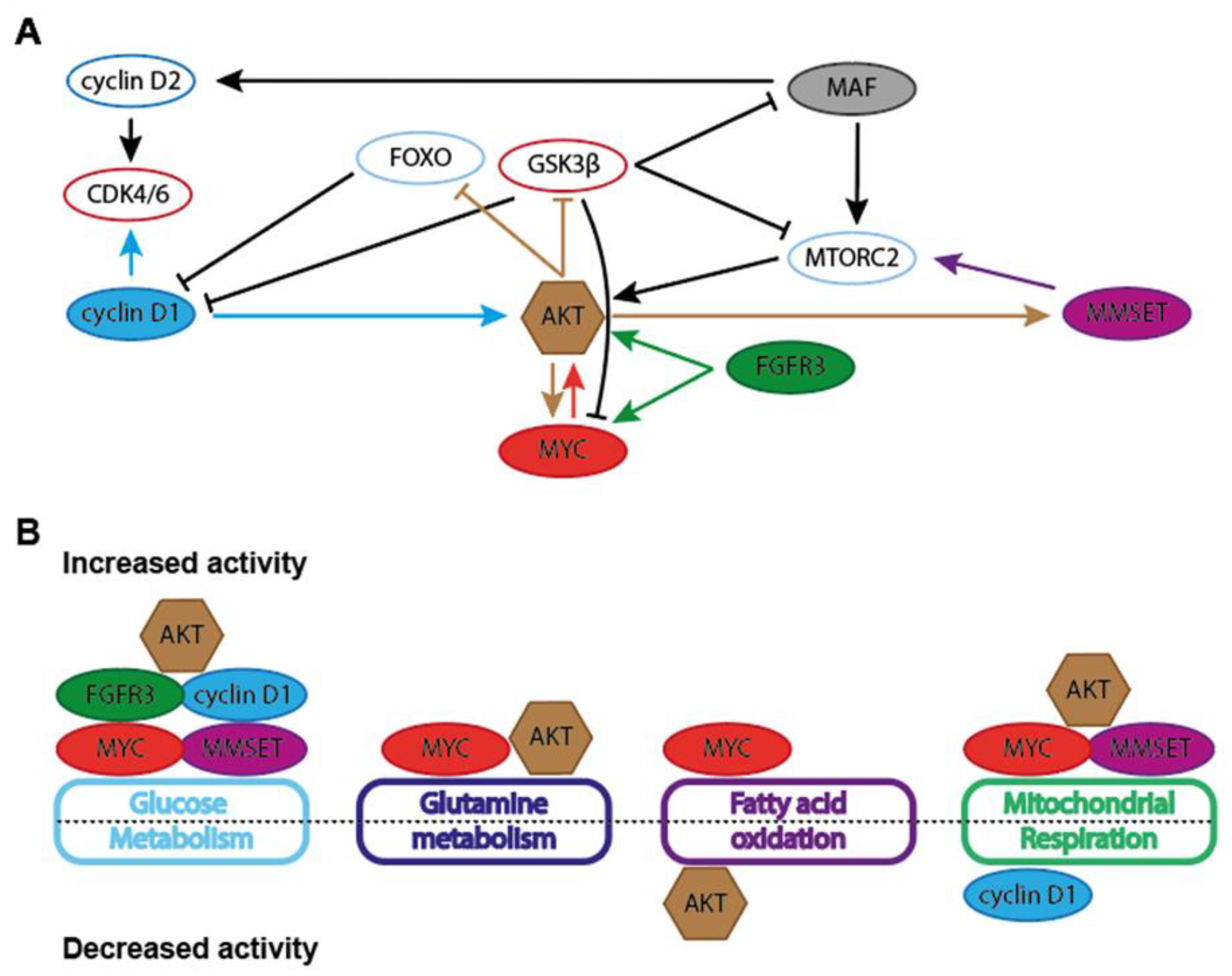 Cancers 13 00396 g003
