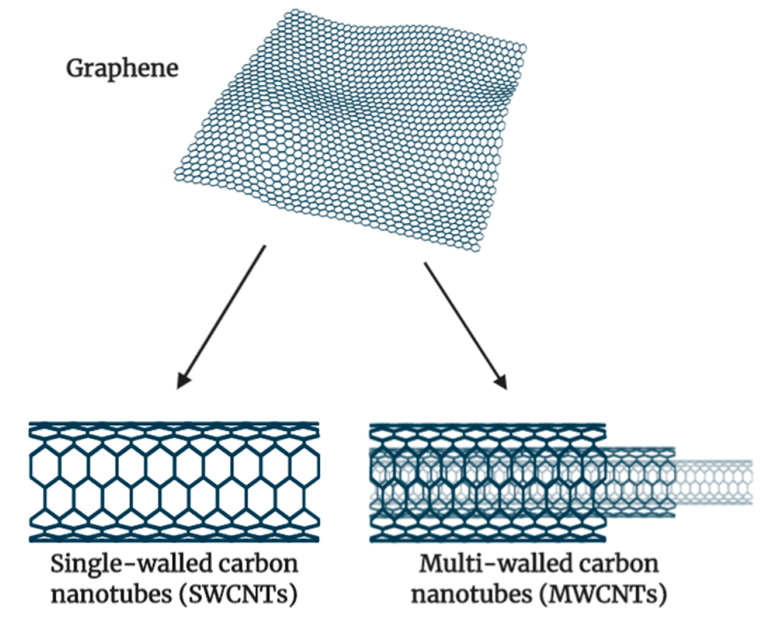 Cancers 13 00400 g008