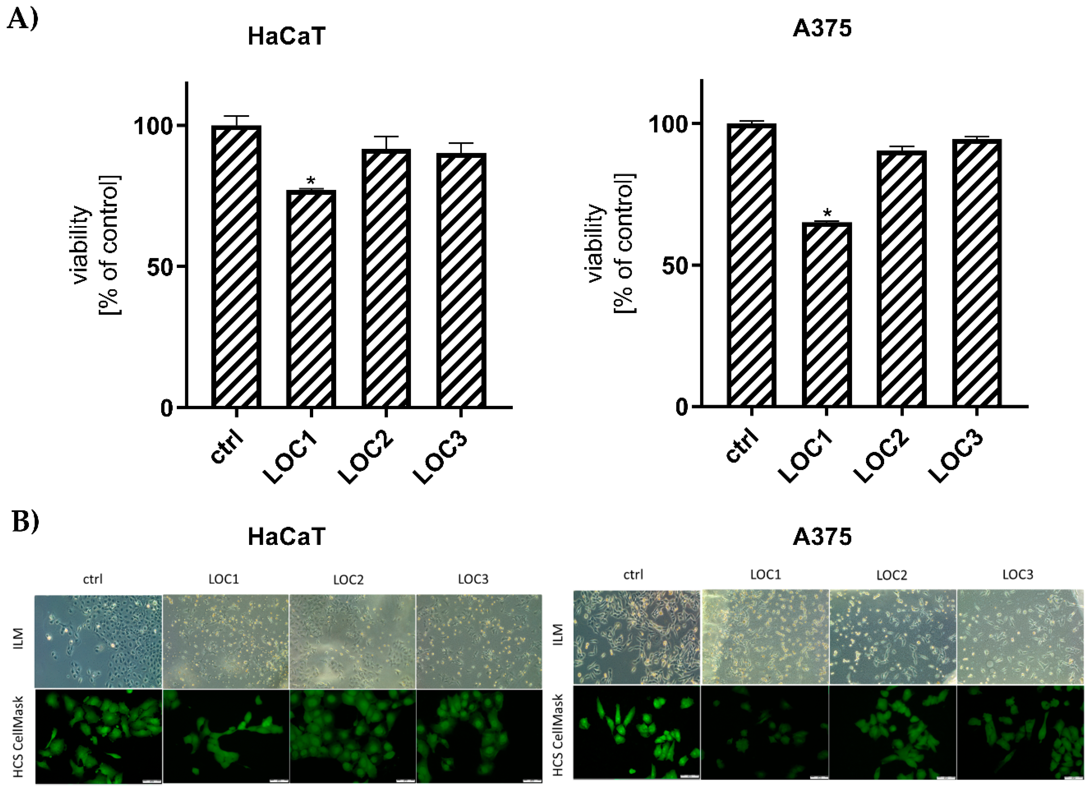 Cancers 13 00402 g001