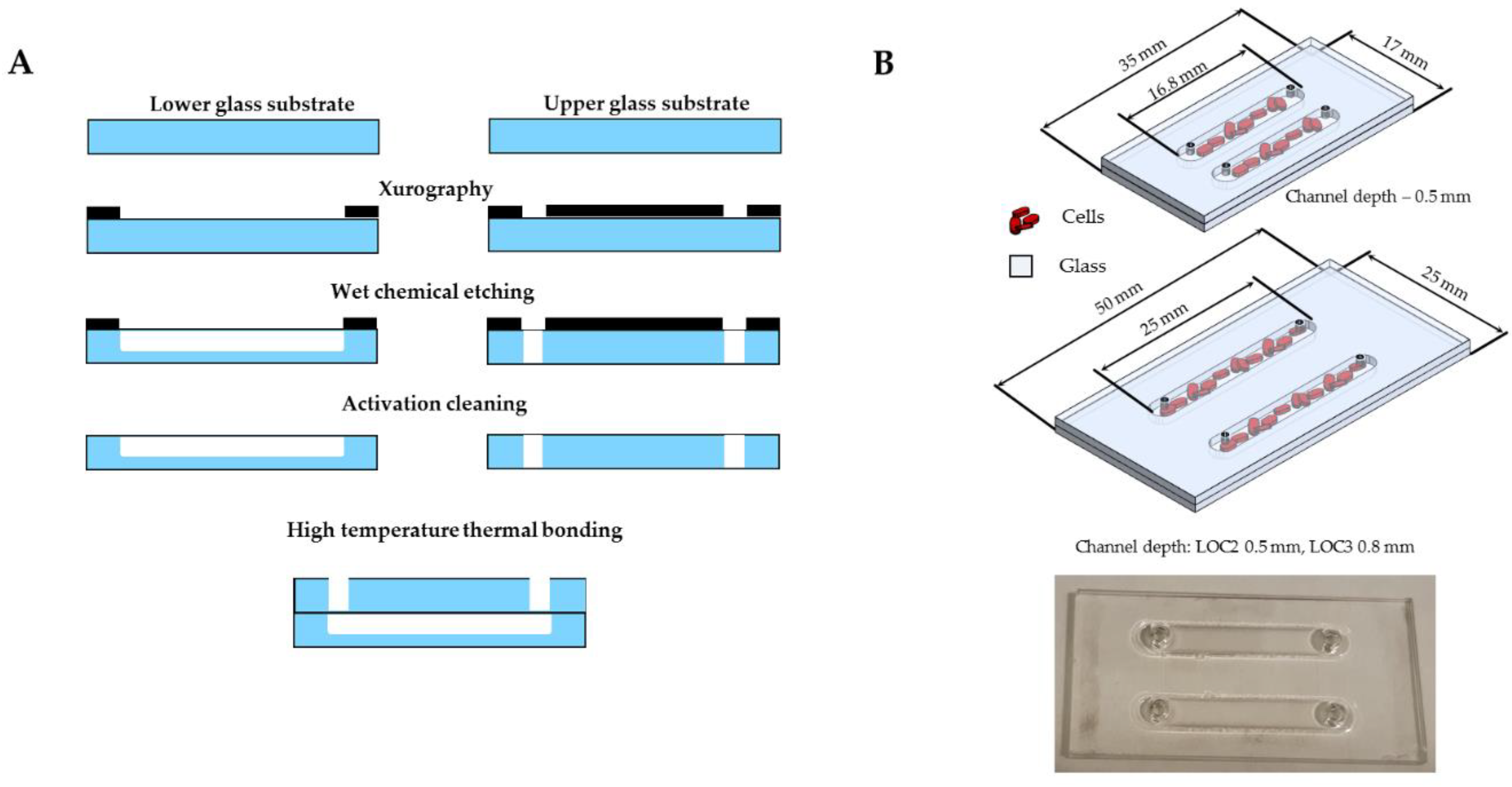 Cancers 13 00402 g006