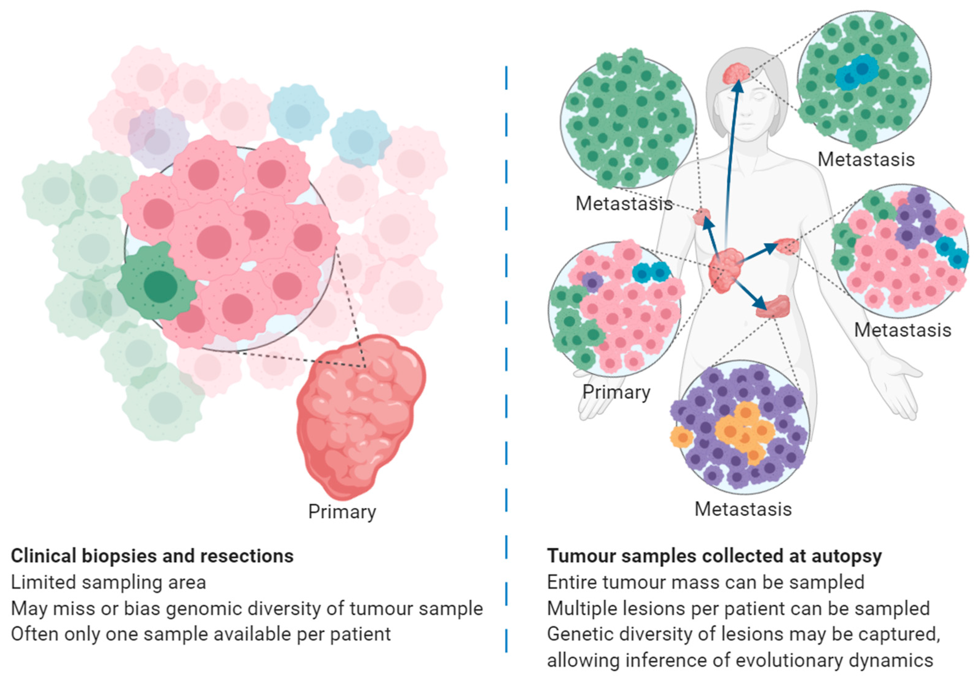 Cancers 13 00409 g001