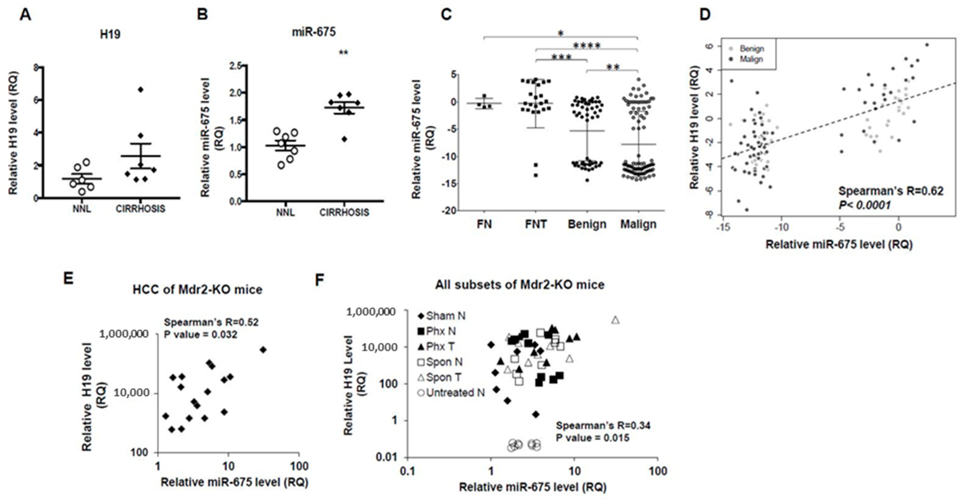 Cancers 13 00411 g001