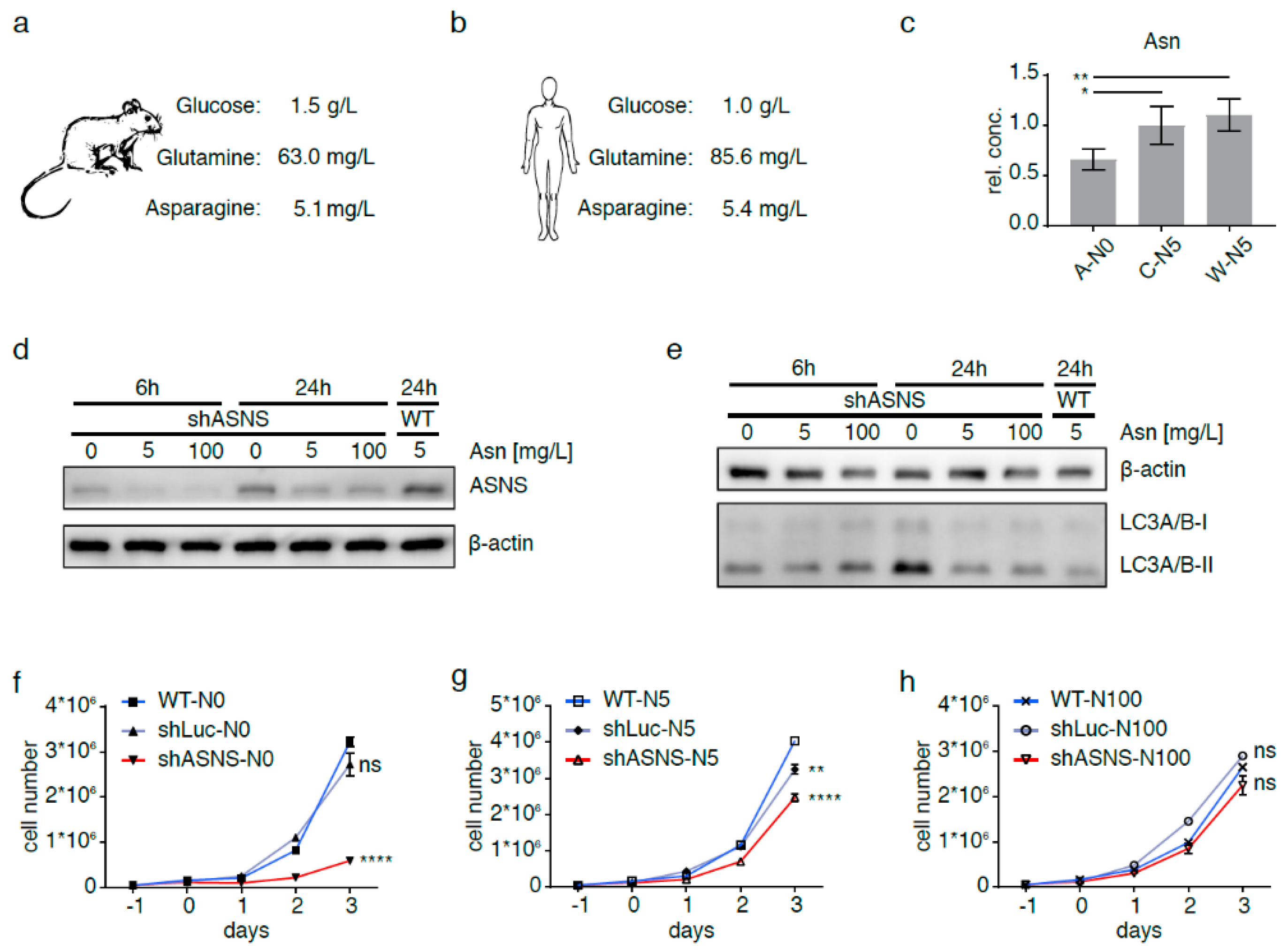 Cancers 13 00412 g002 Cancers 13 00412 g002