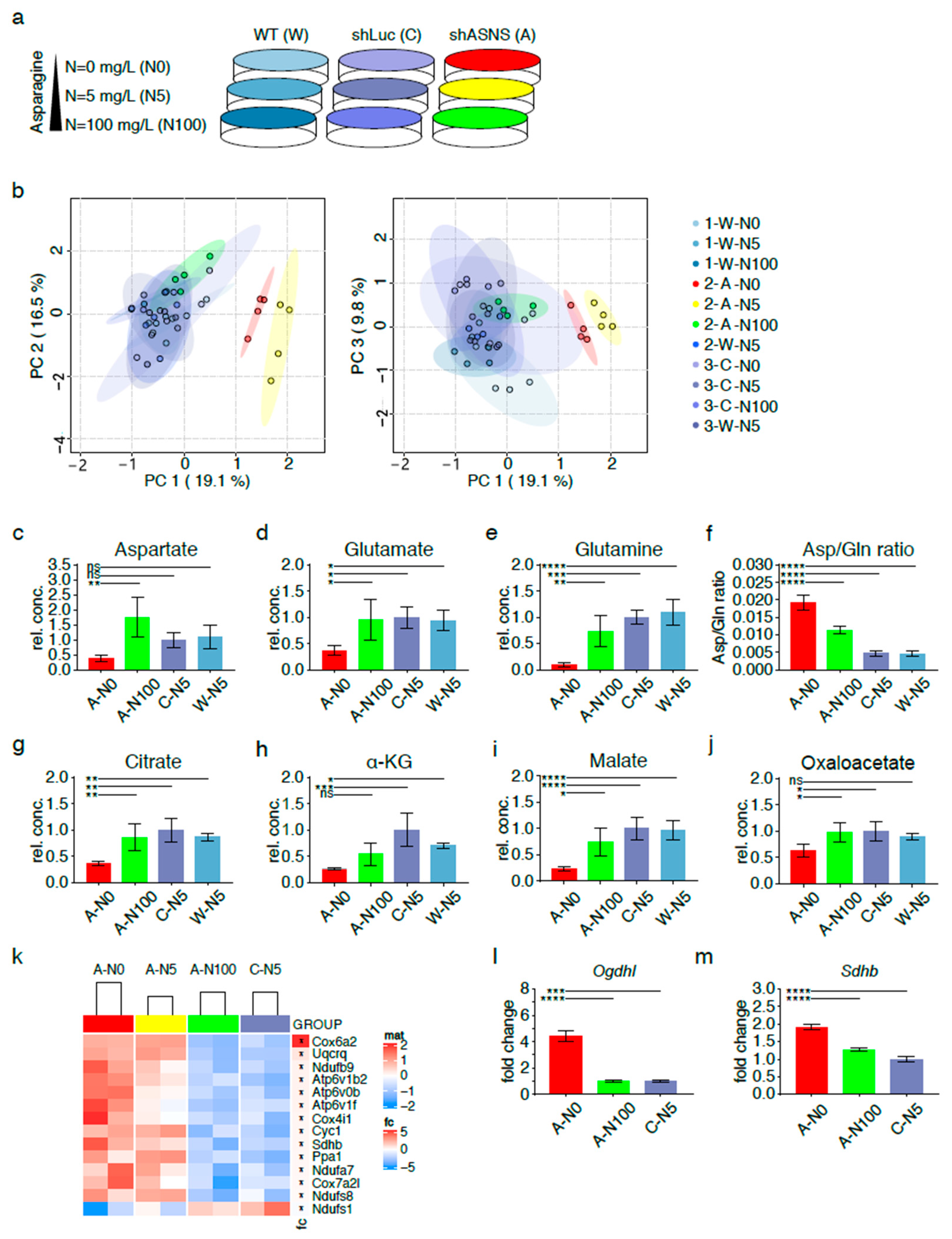 Cancers 13 00412 g003 Cancers 13 00412 g003