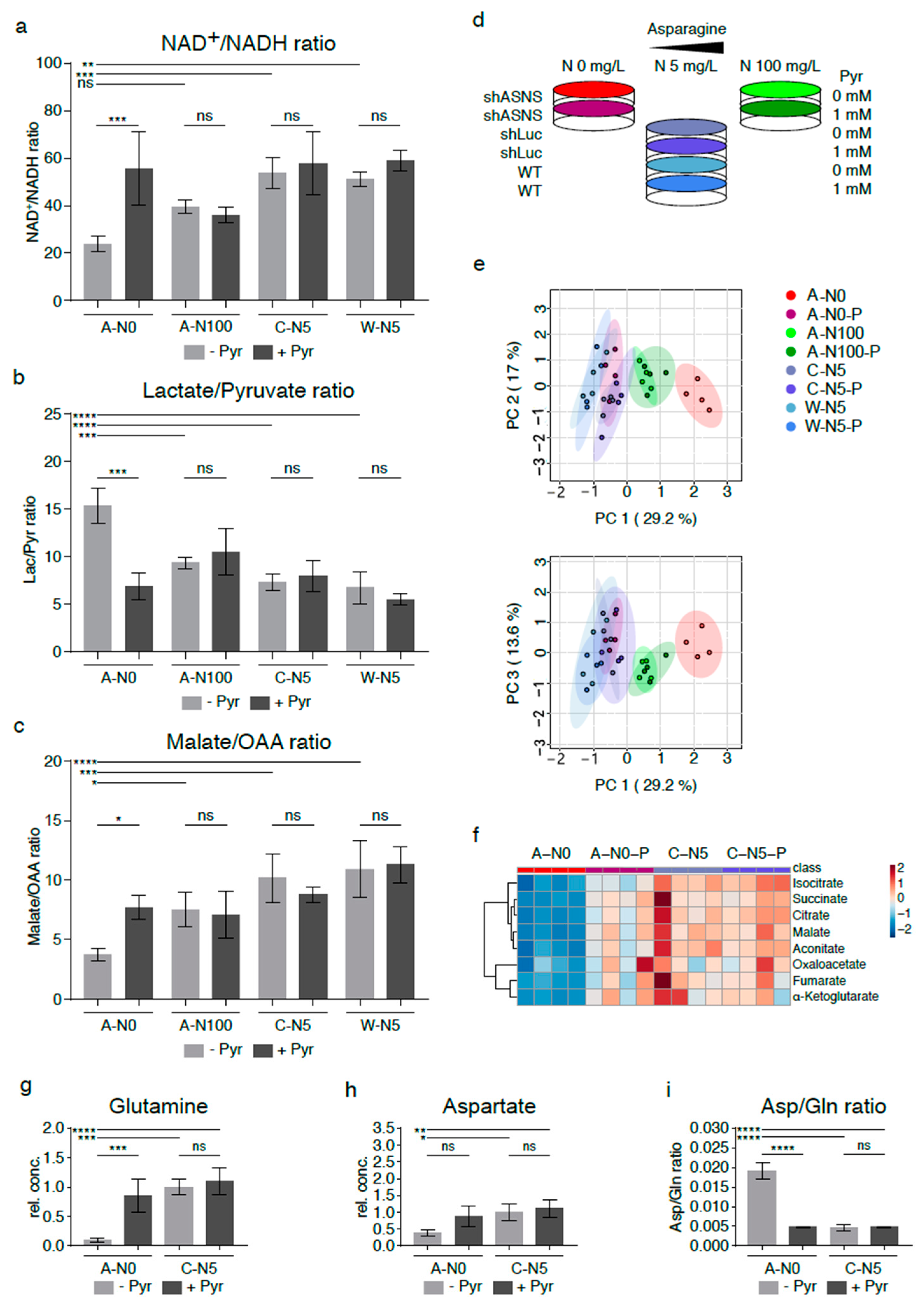 Cancers 13 00412 g004 Cancers 13 00412 g004