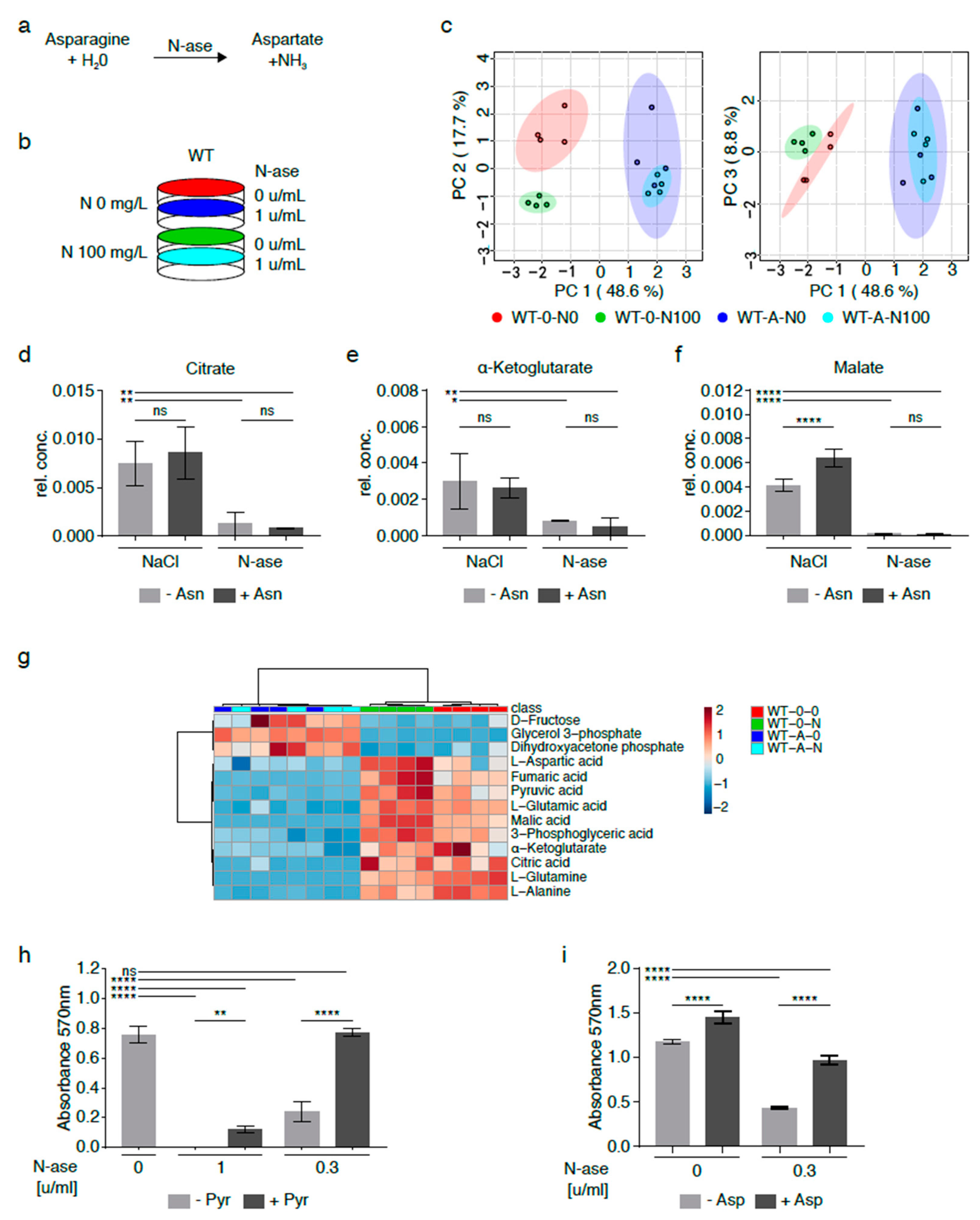 Cancers 13 00412 g005 Cancers 13 00412 g005