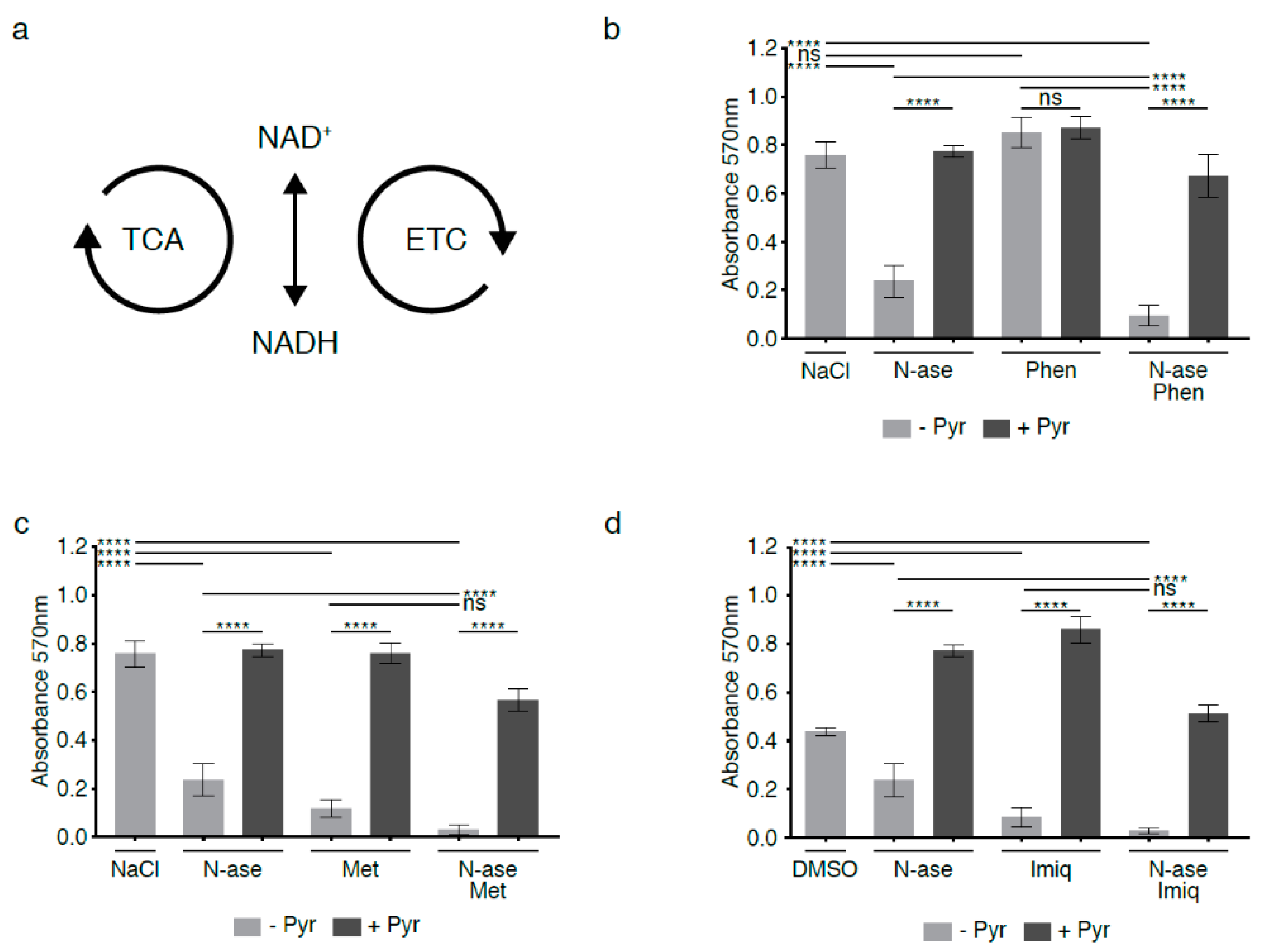 Cancers 13 00412 g006 Cancers 13 00412 g006