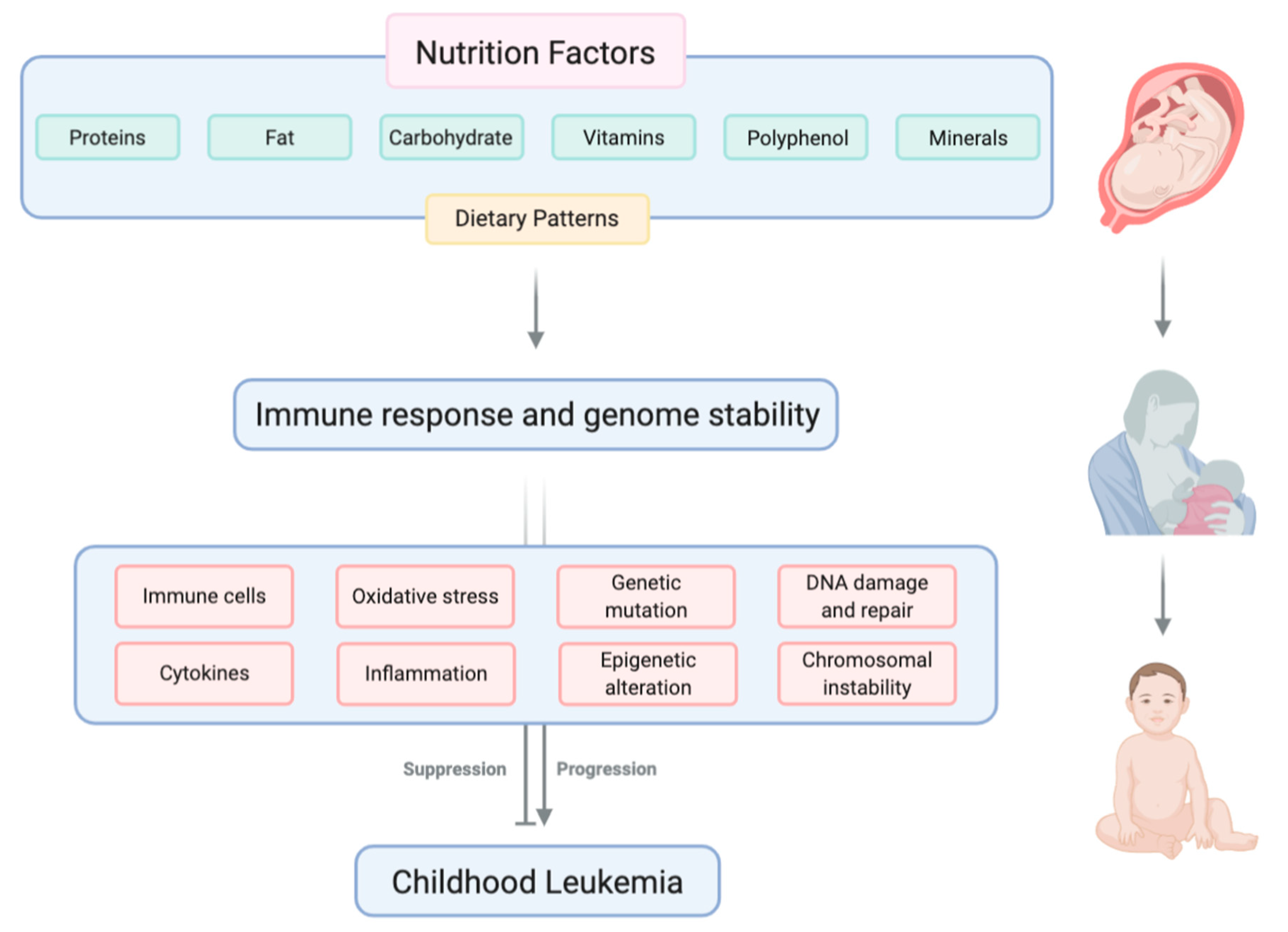 Cancers 13 00413 g001