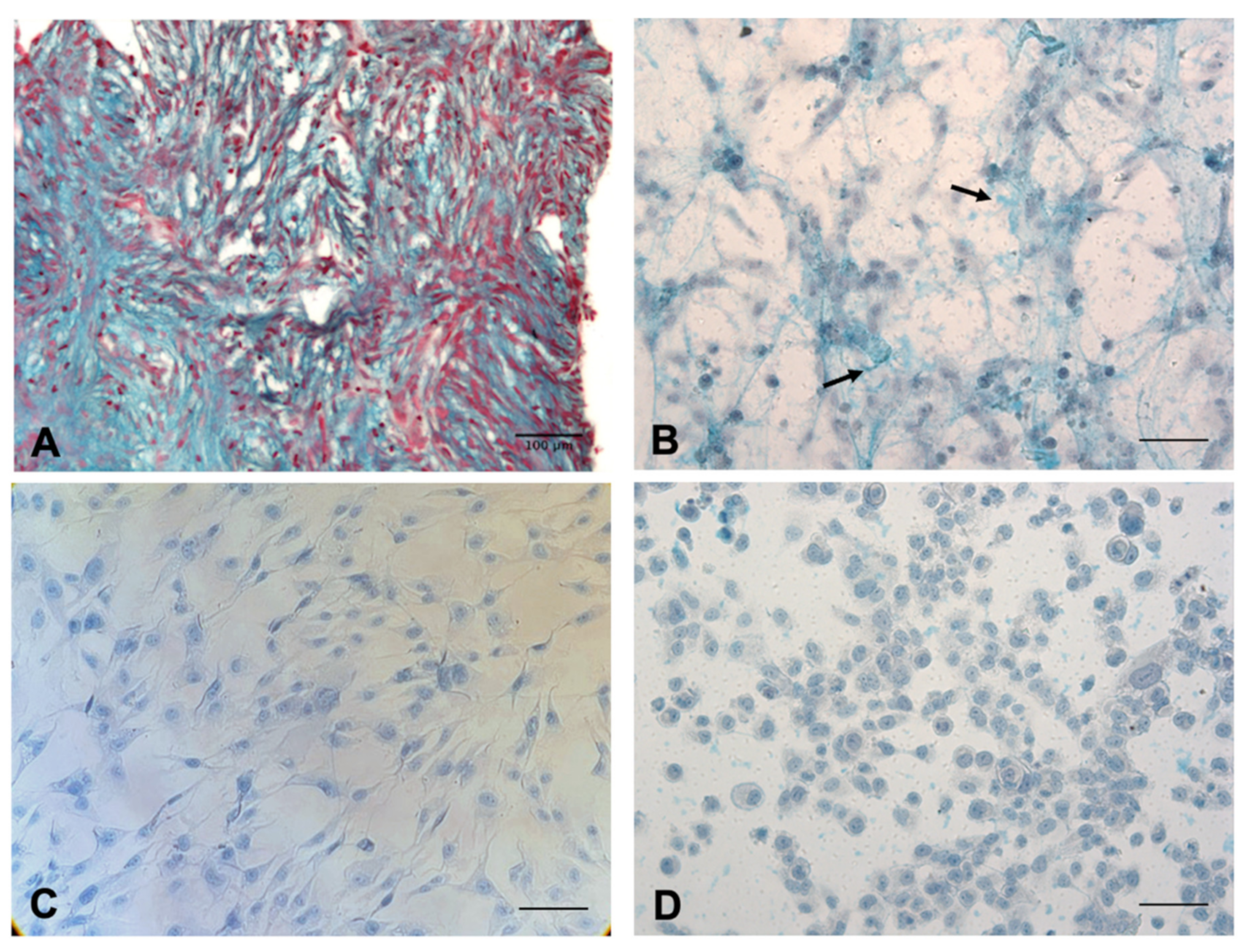 Cancers 13 00416 g001 Cancers 13 00416 g001