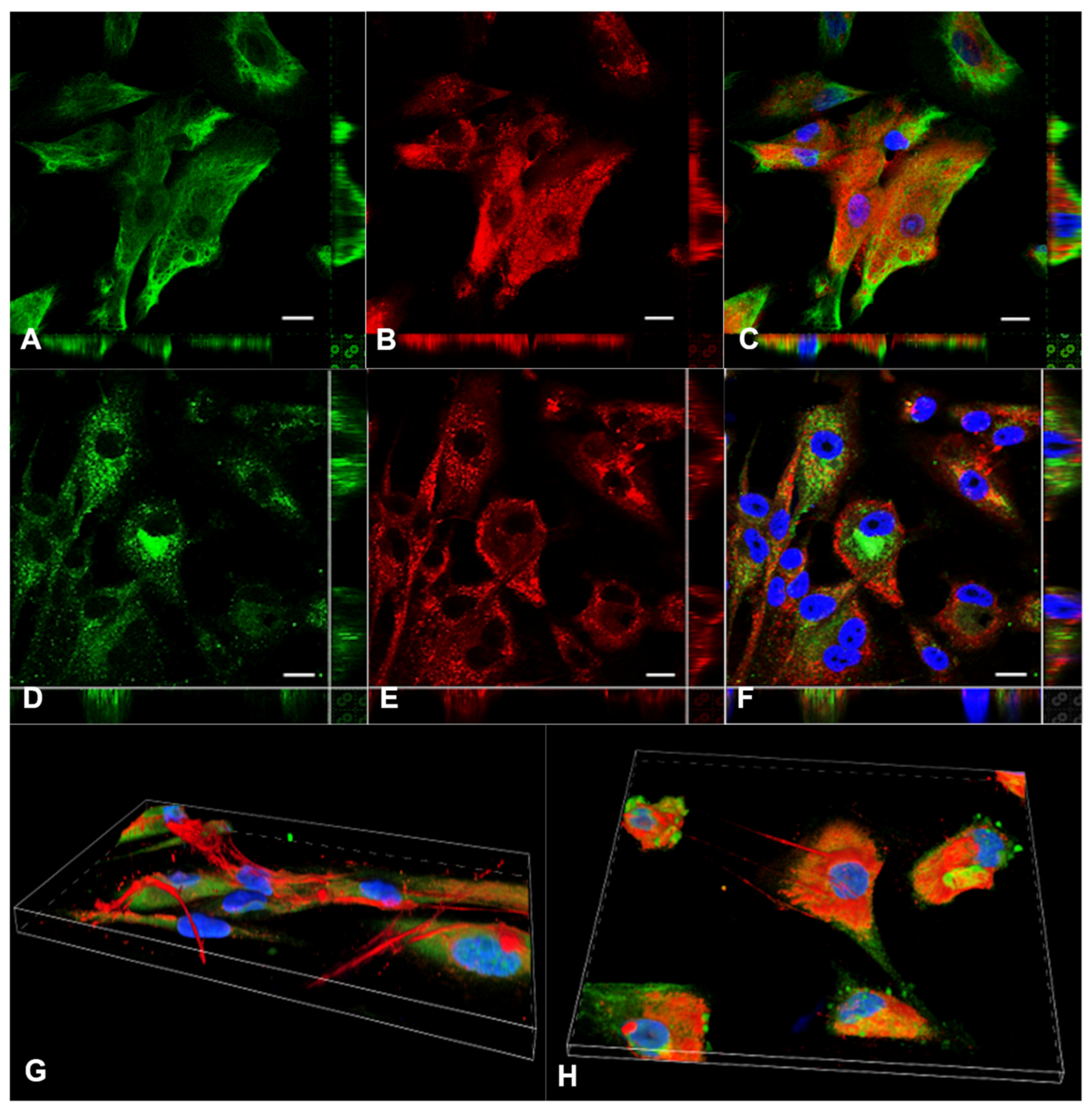 Cancers 13 00416 g003 Cancers 13 00416 g003