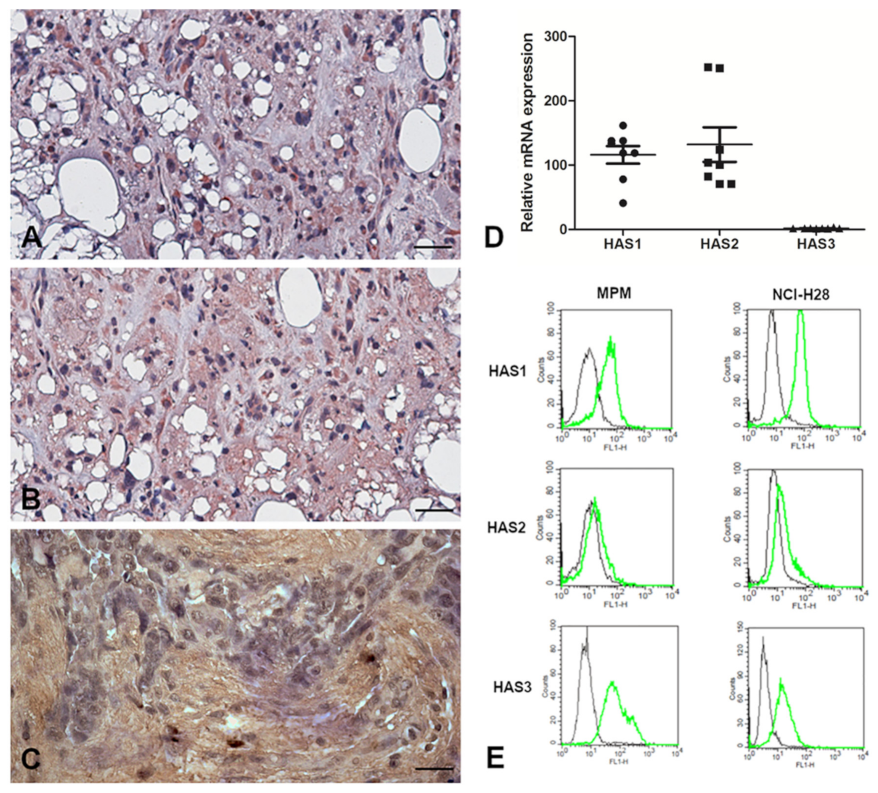 Cancers 13 00416 g005 Cancers 13 00416 g005