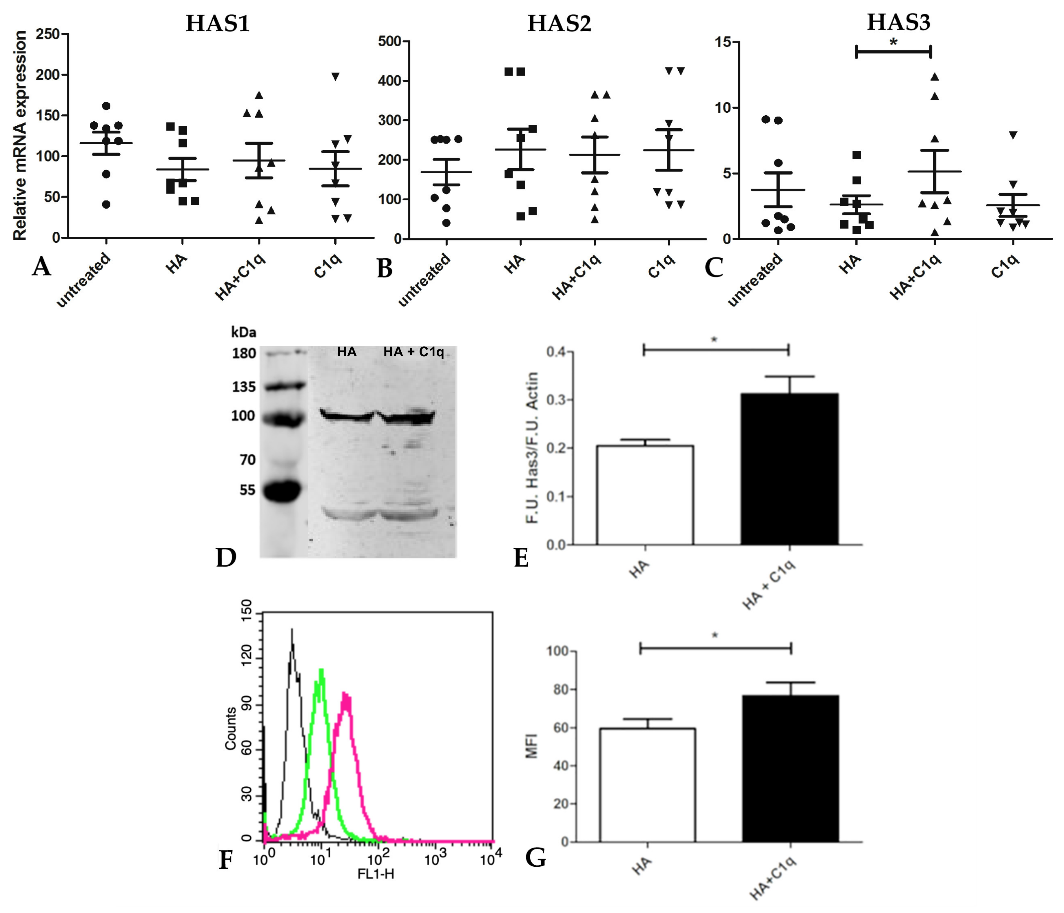 Cancers 13 00416 g007 Cancers 13 00416 g007