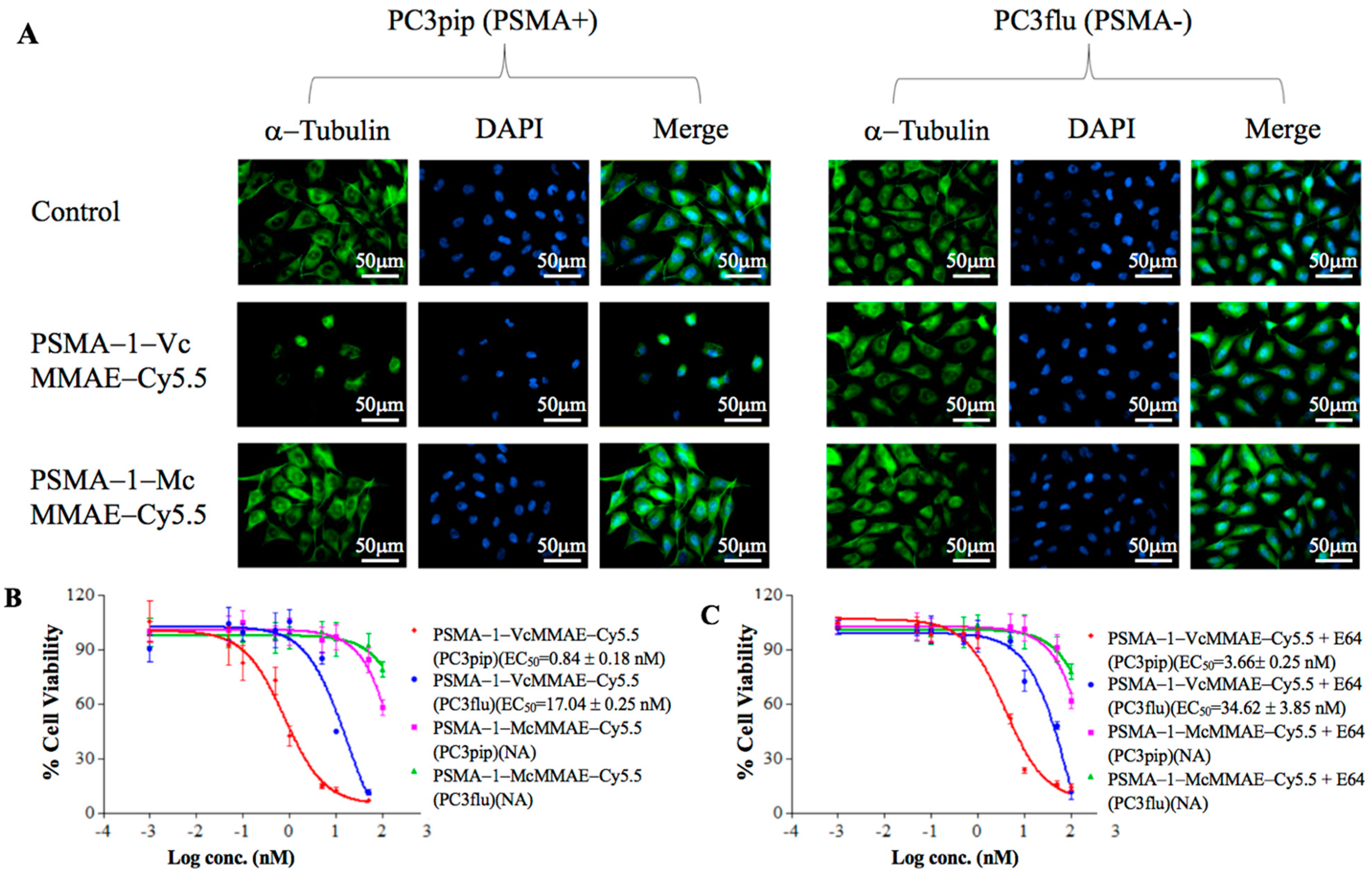 Cancers 13 00417 g003