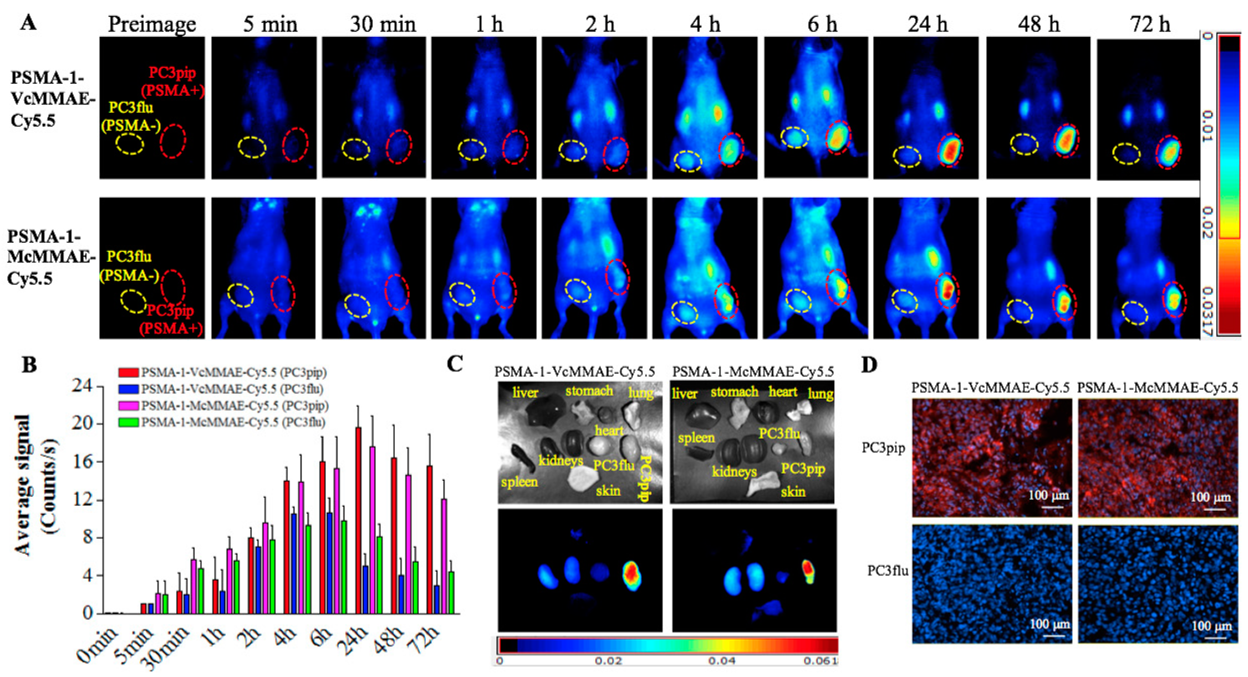Cancers 13 00417 g004