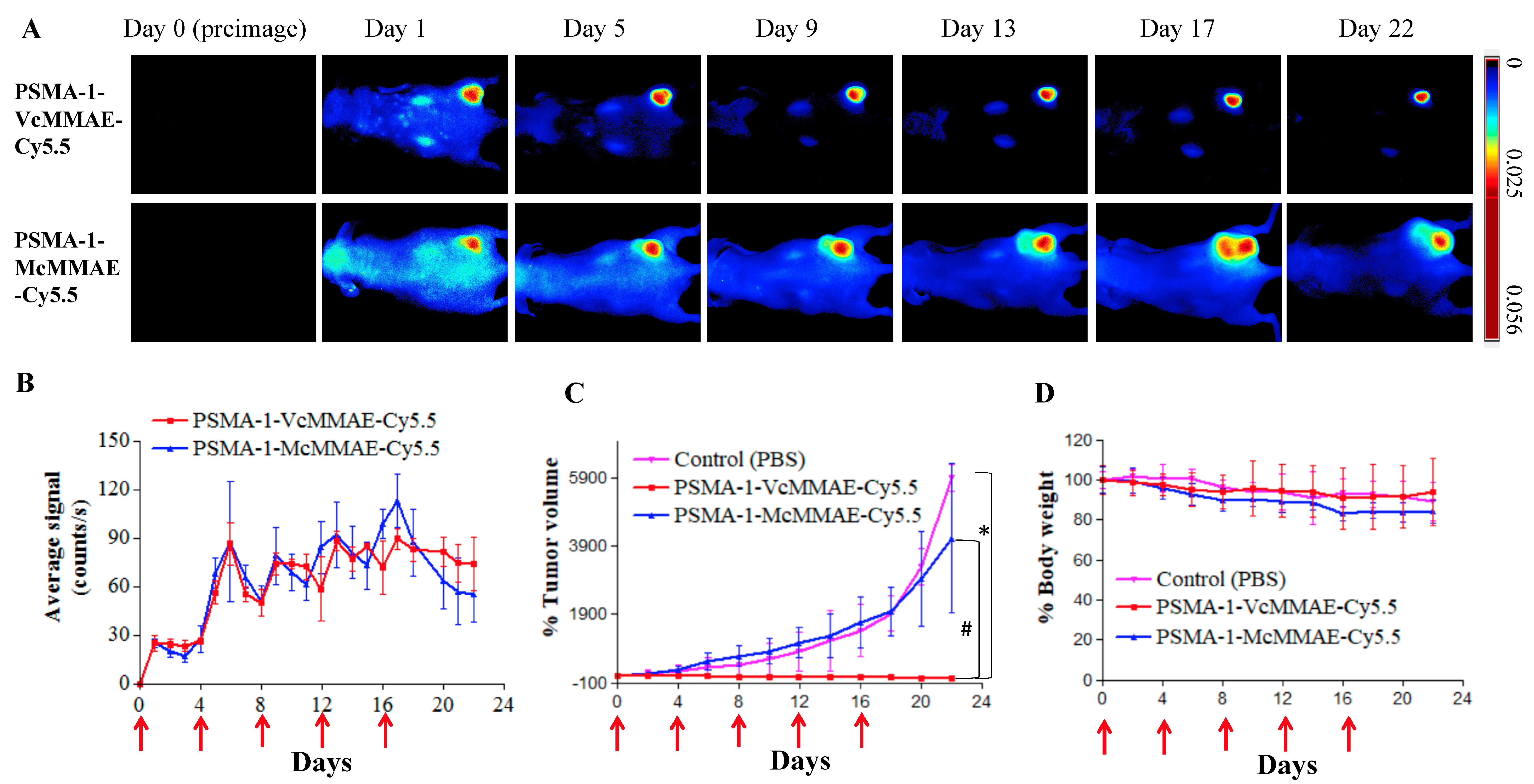 Cancers 13 00417 g005