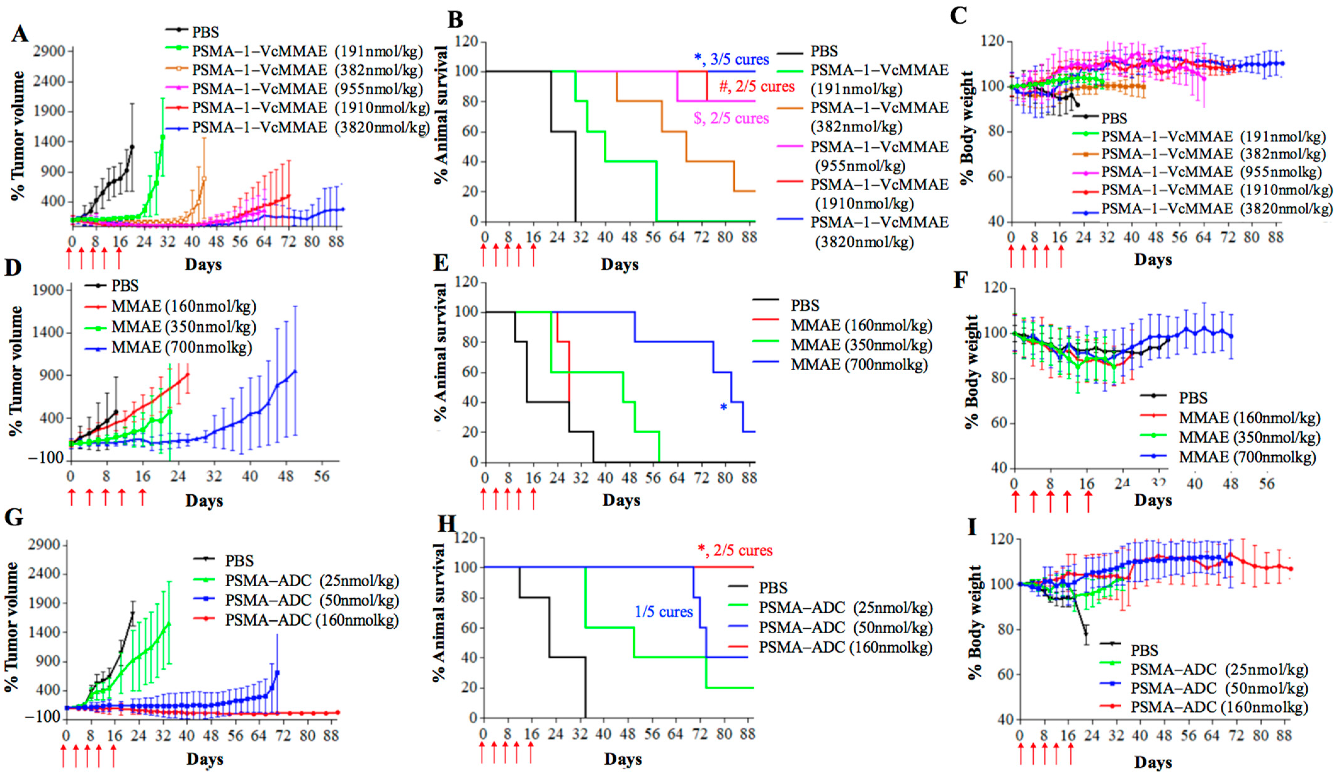 Cancers 13 00417 g008