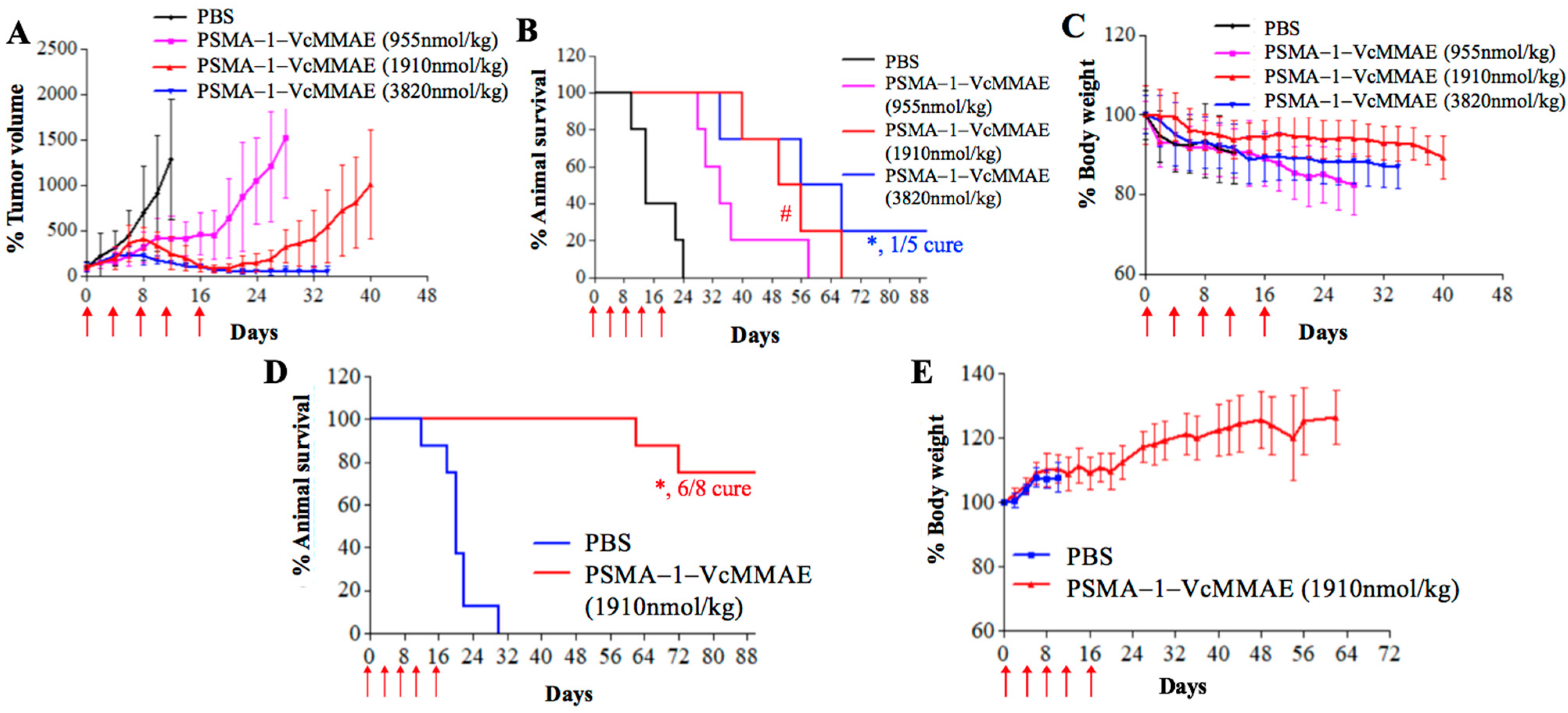 Cancers 13 00417 g009