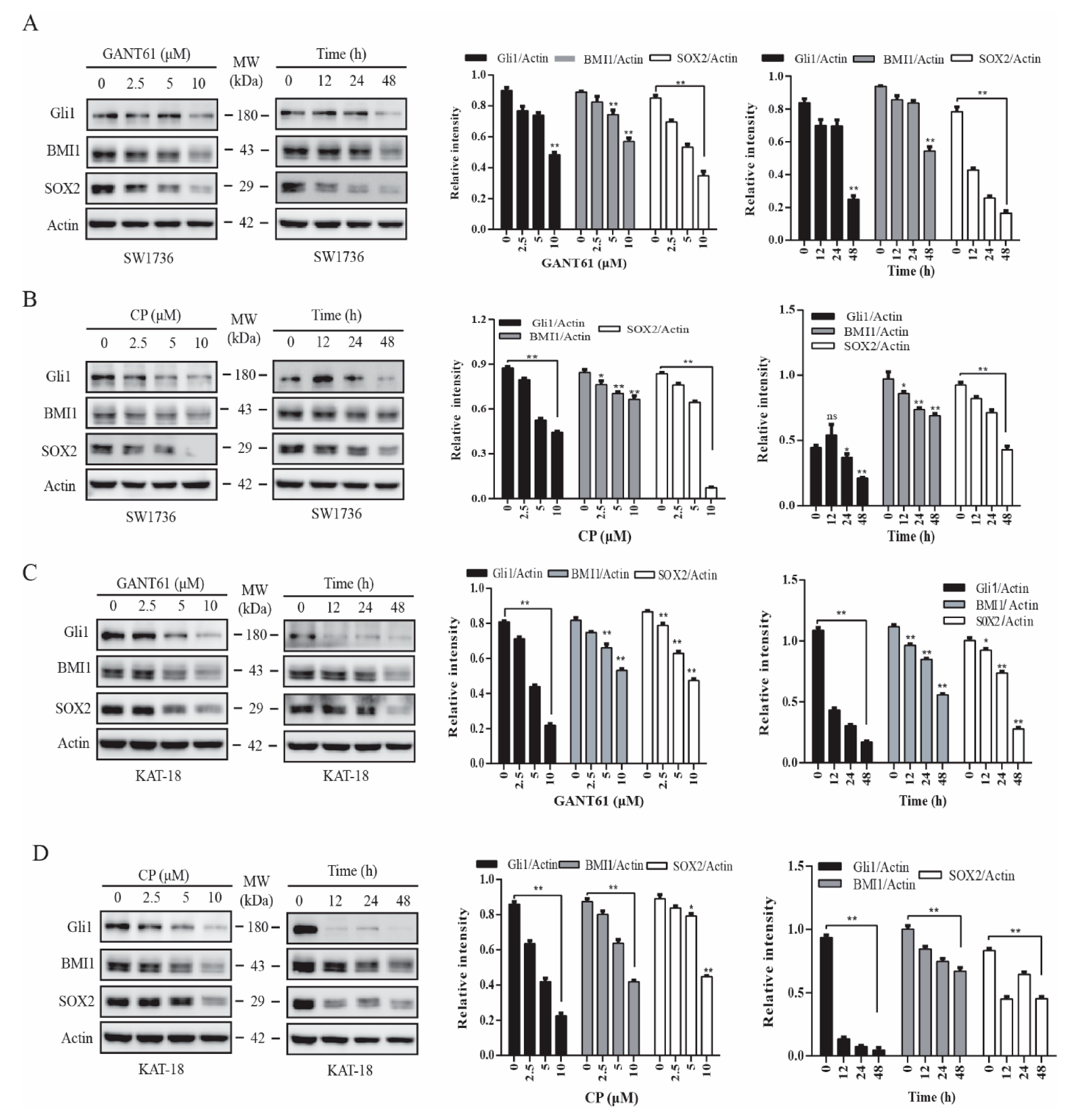 Cancers 13 00418 g001