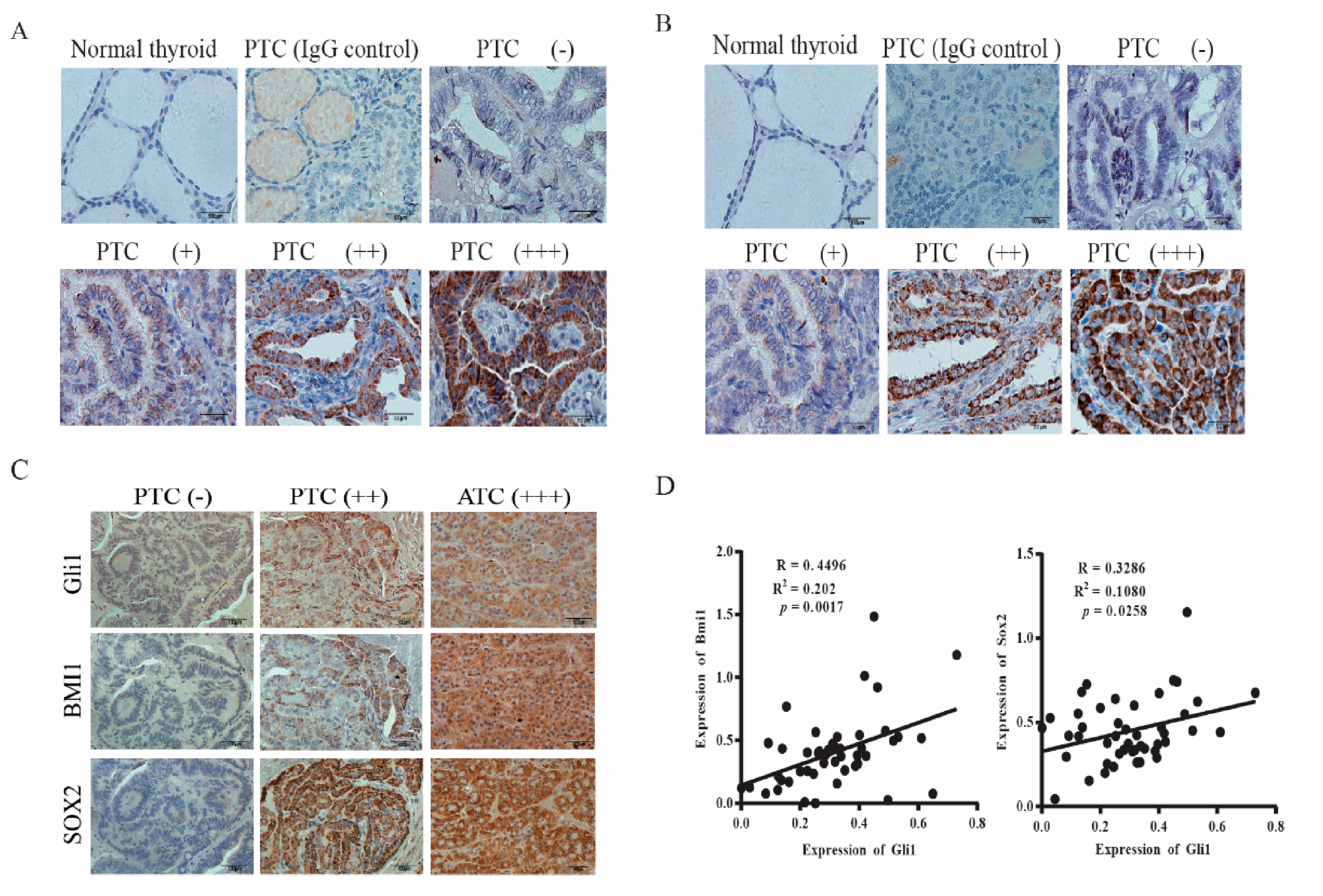 Cancers 13 00418 g006