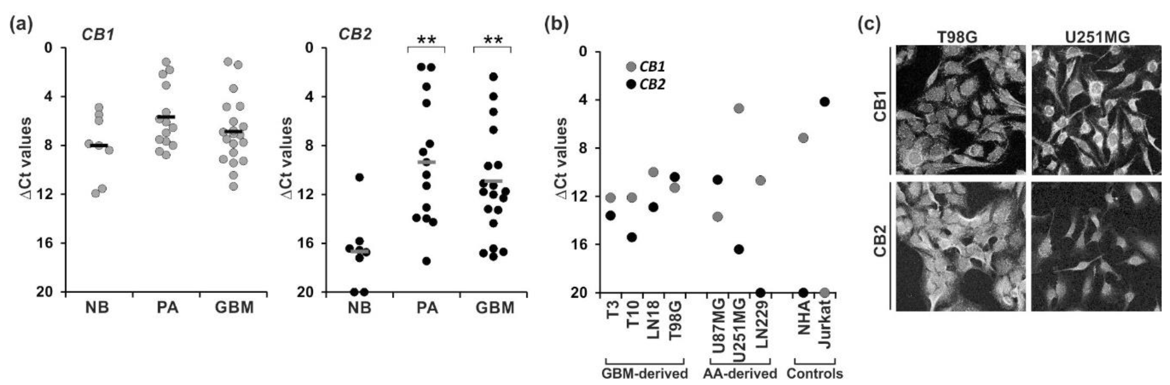 Cancers 13 00419 g001
