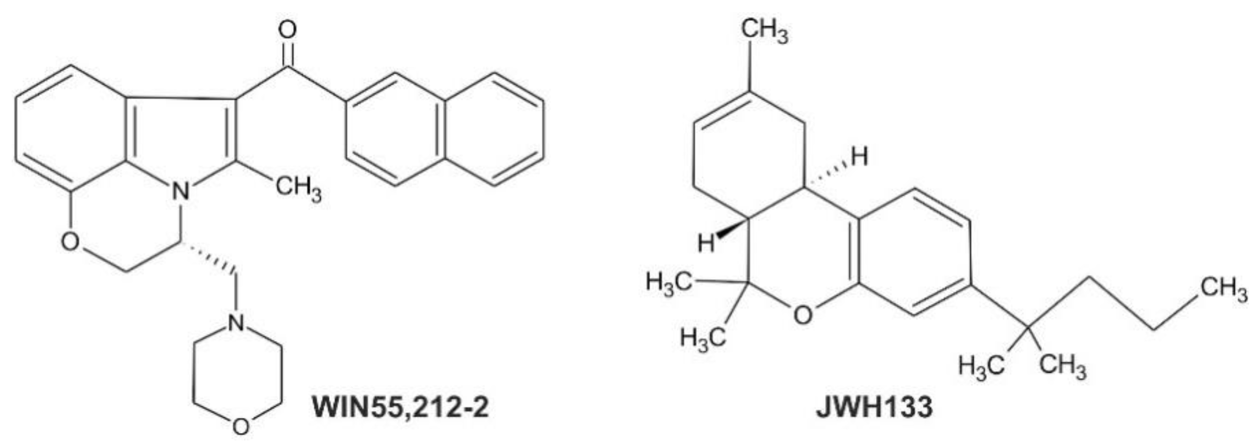 Cancers 13 00419 g002