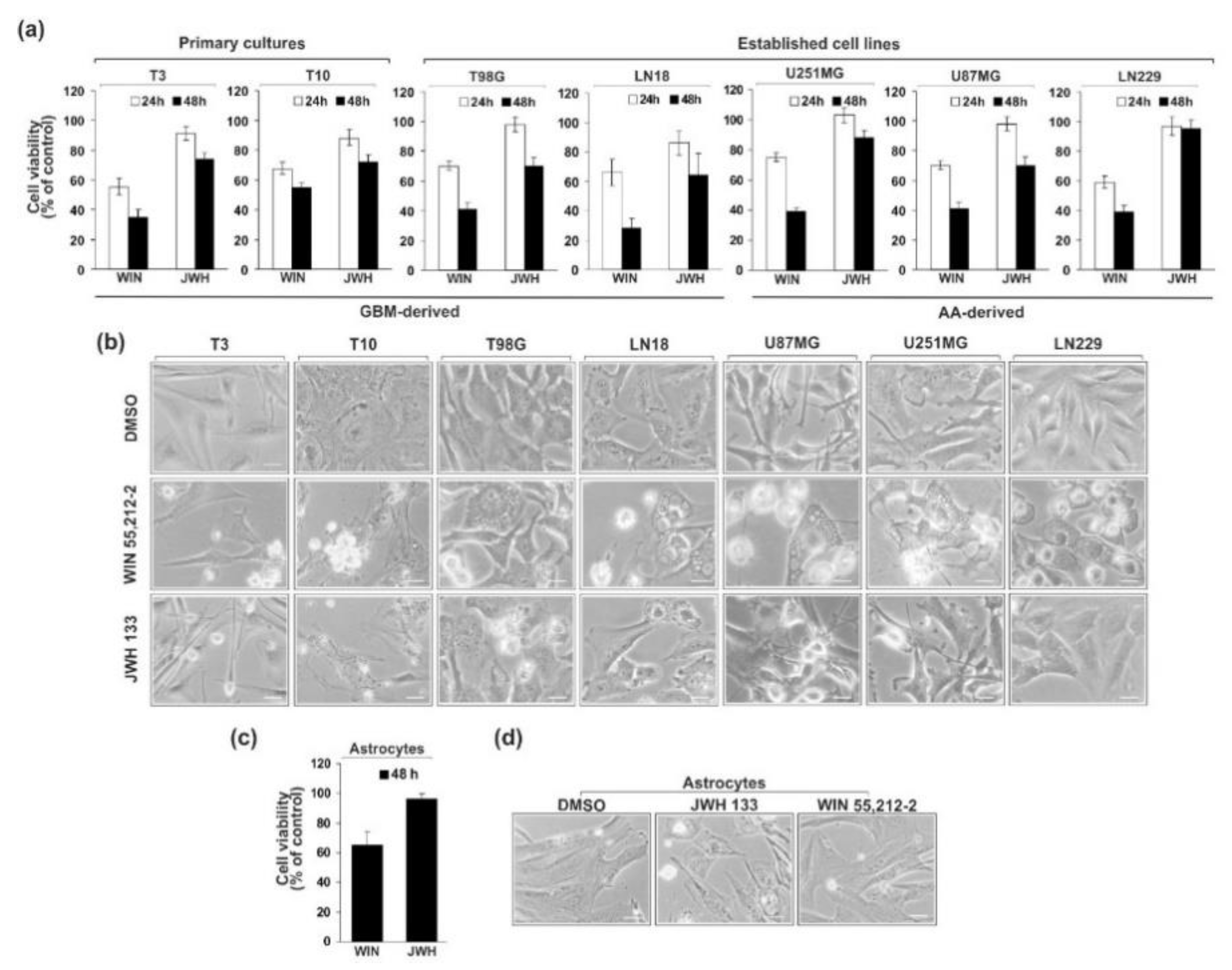 Cancers 13 00419 g003