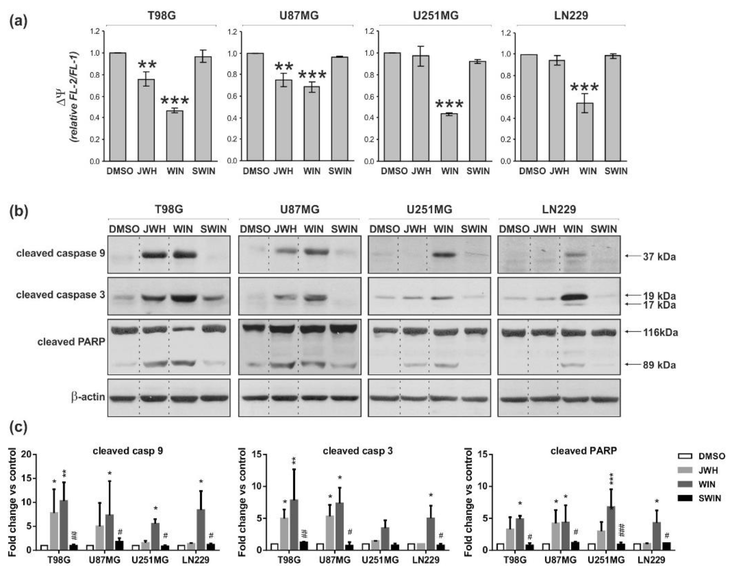 Cancers 13 00419 g005