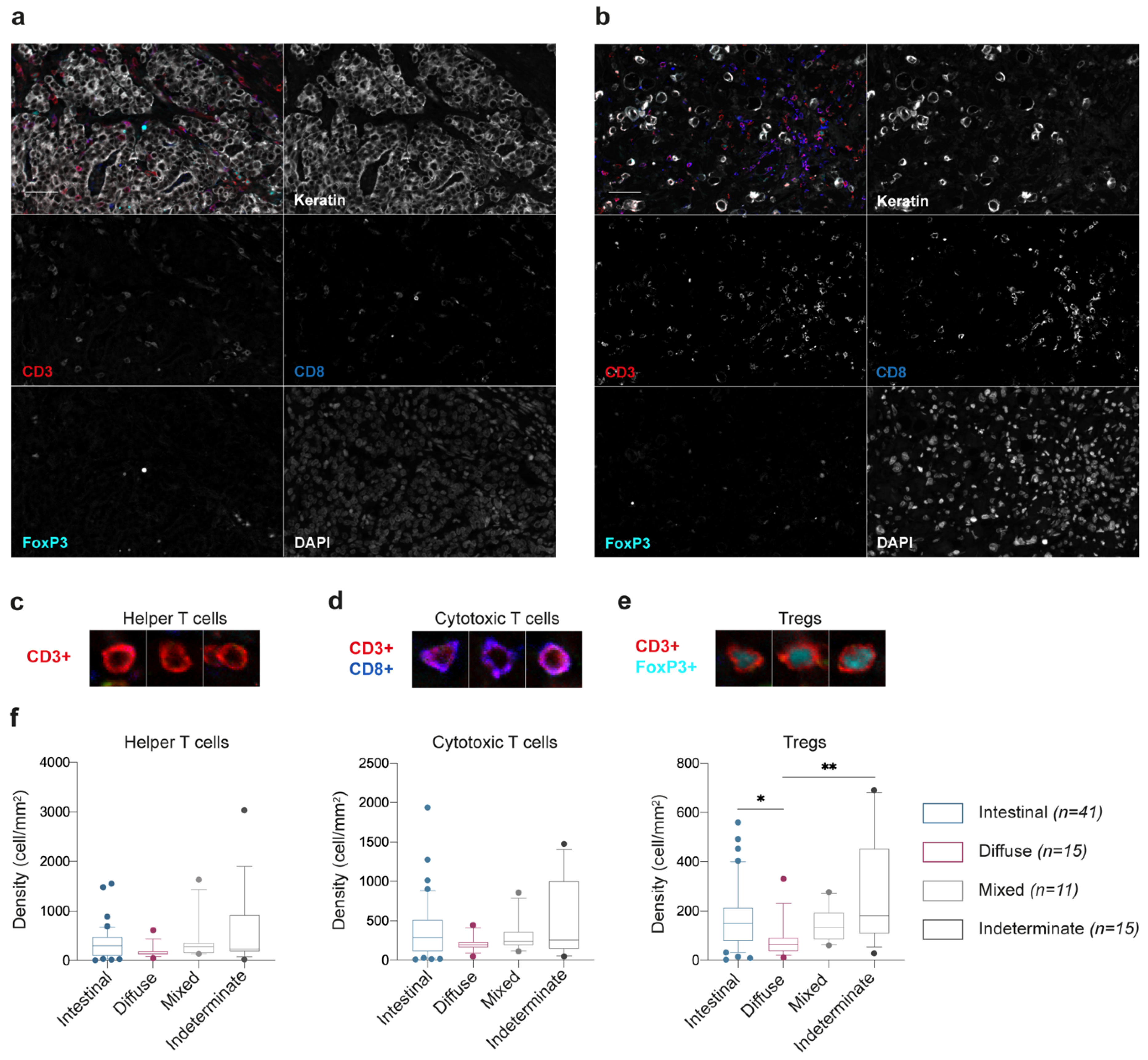 Cancers 13 00421 g001