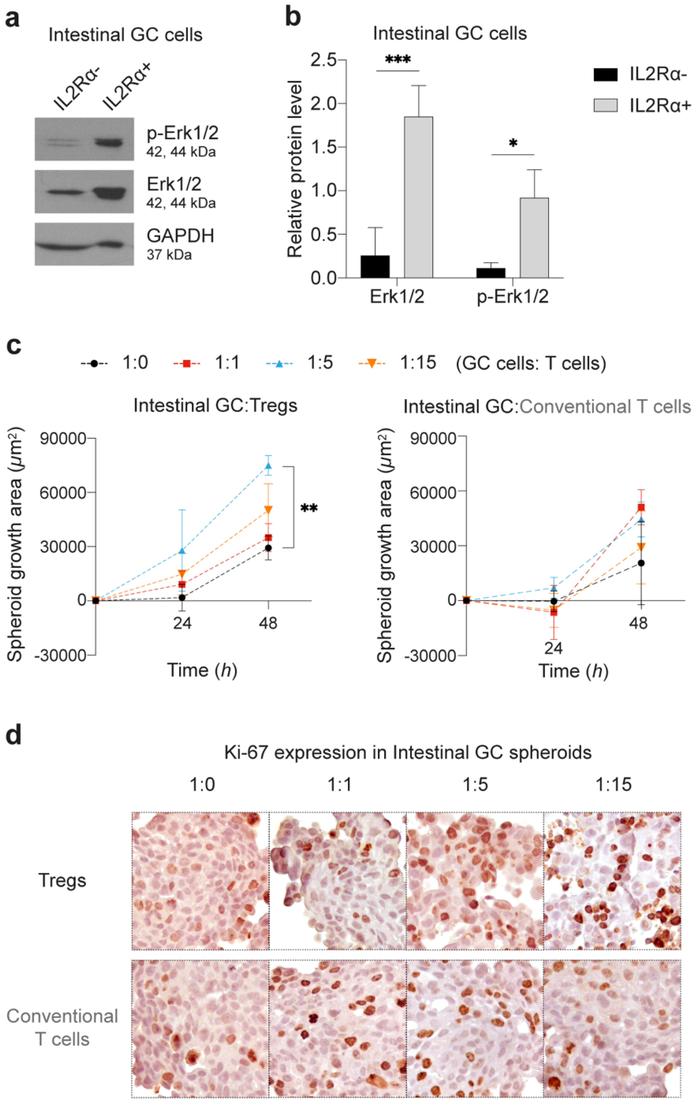 Cancers 13 00421 g005