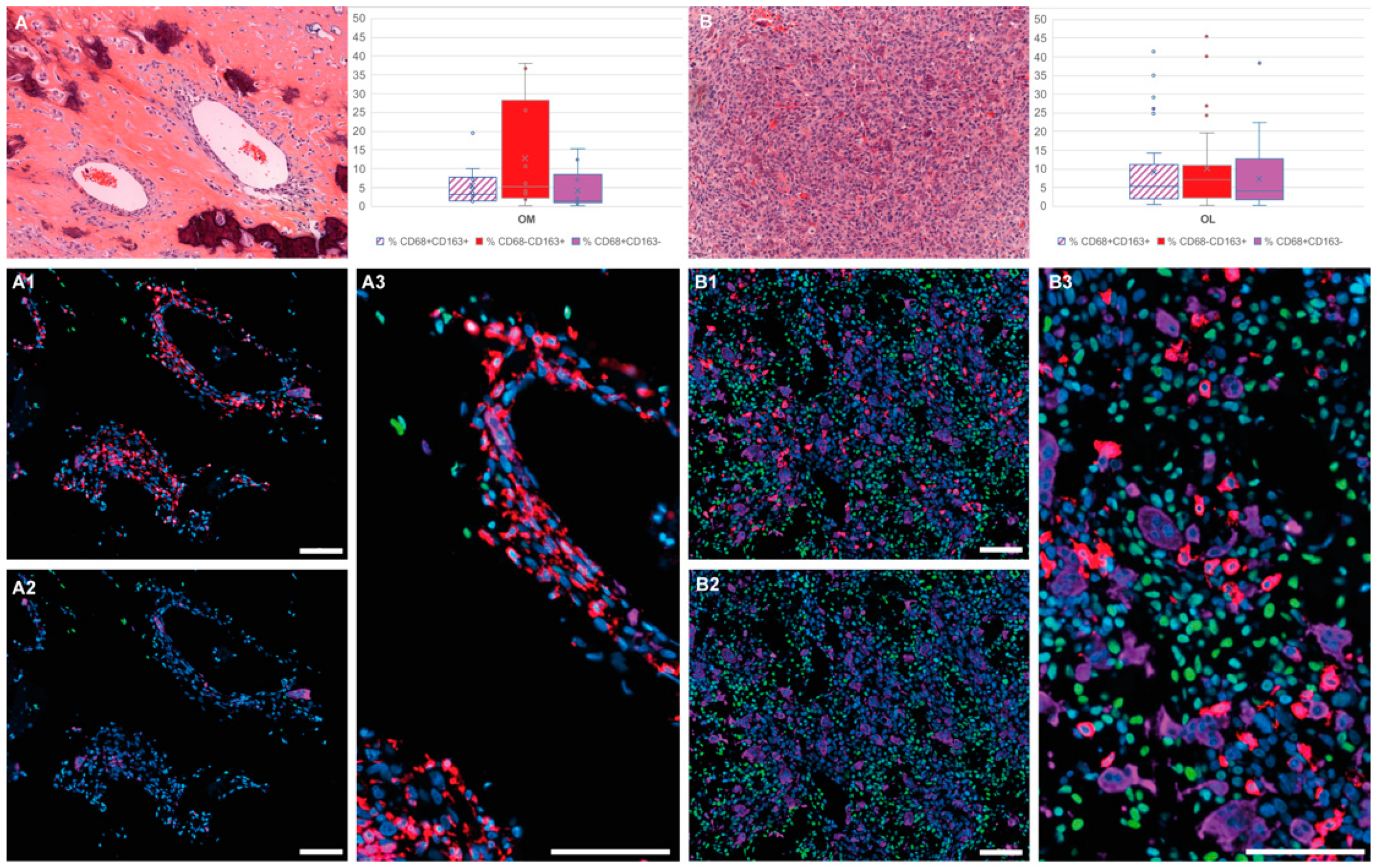 Cancers 13 00423 g001
