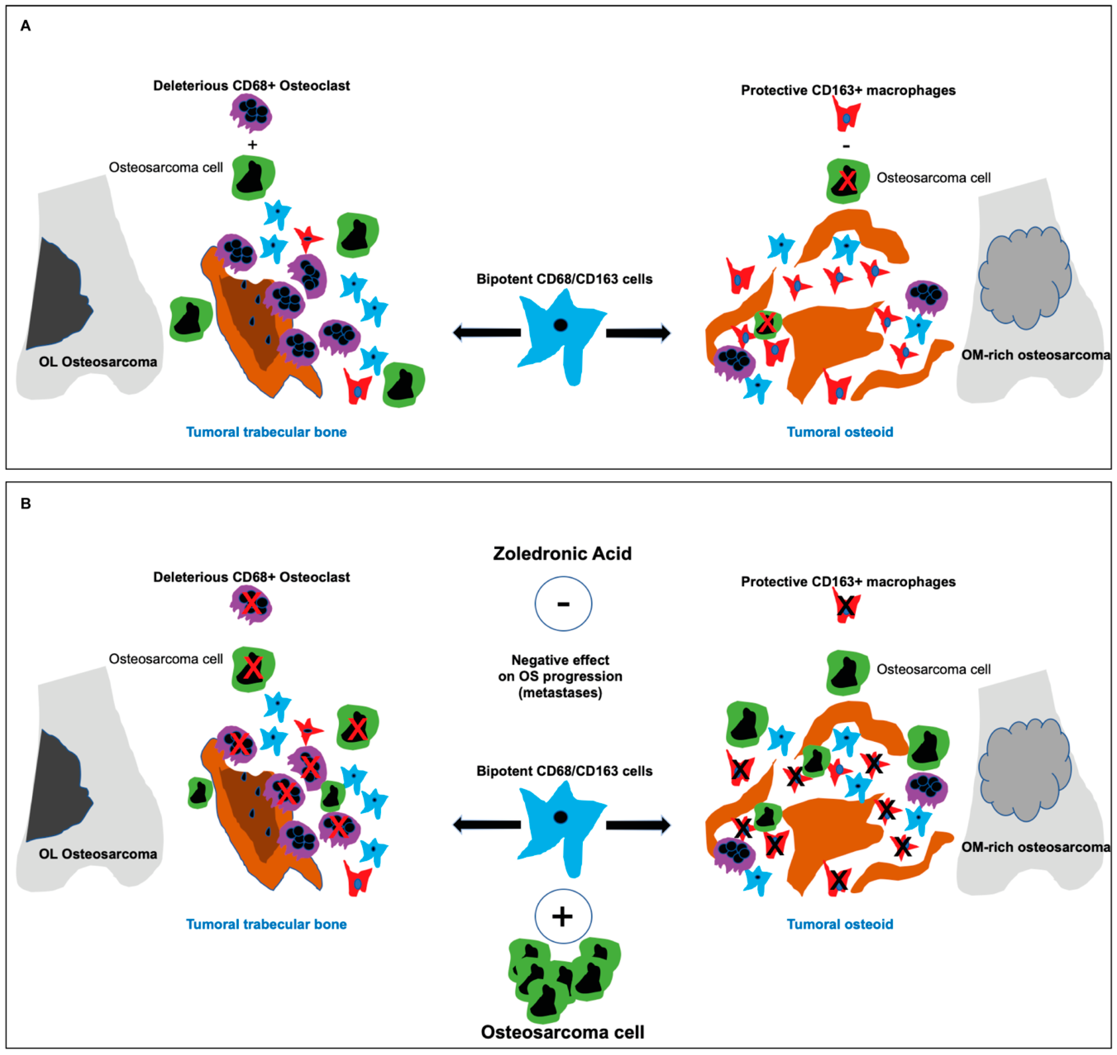 Cancers 13 00423 g005