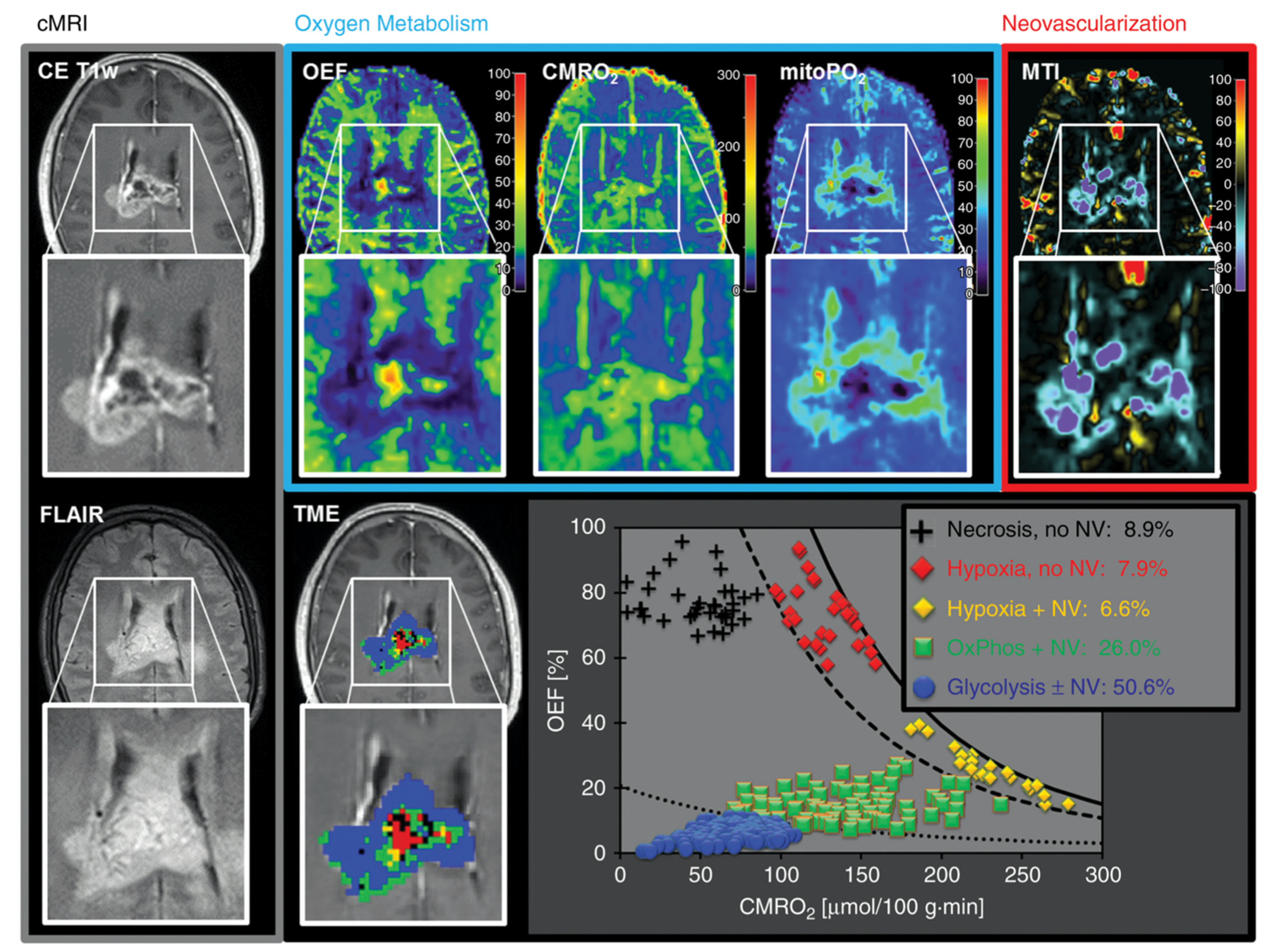 Cancers 13 00424 g004 Cancers 13 00424 g004