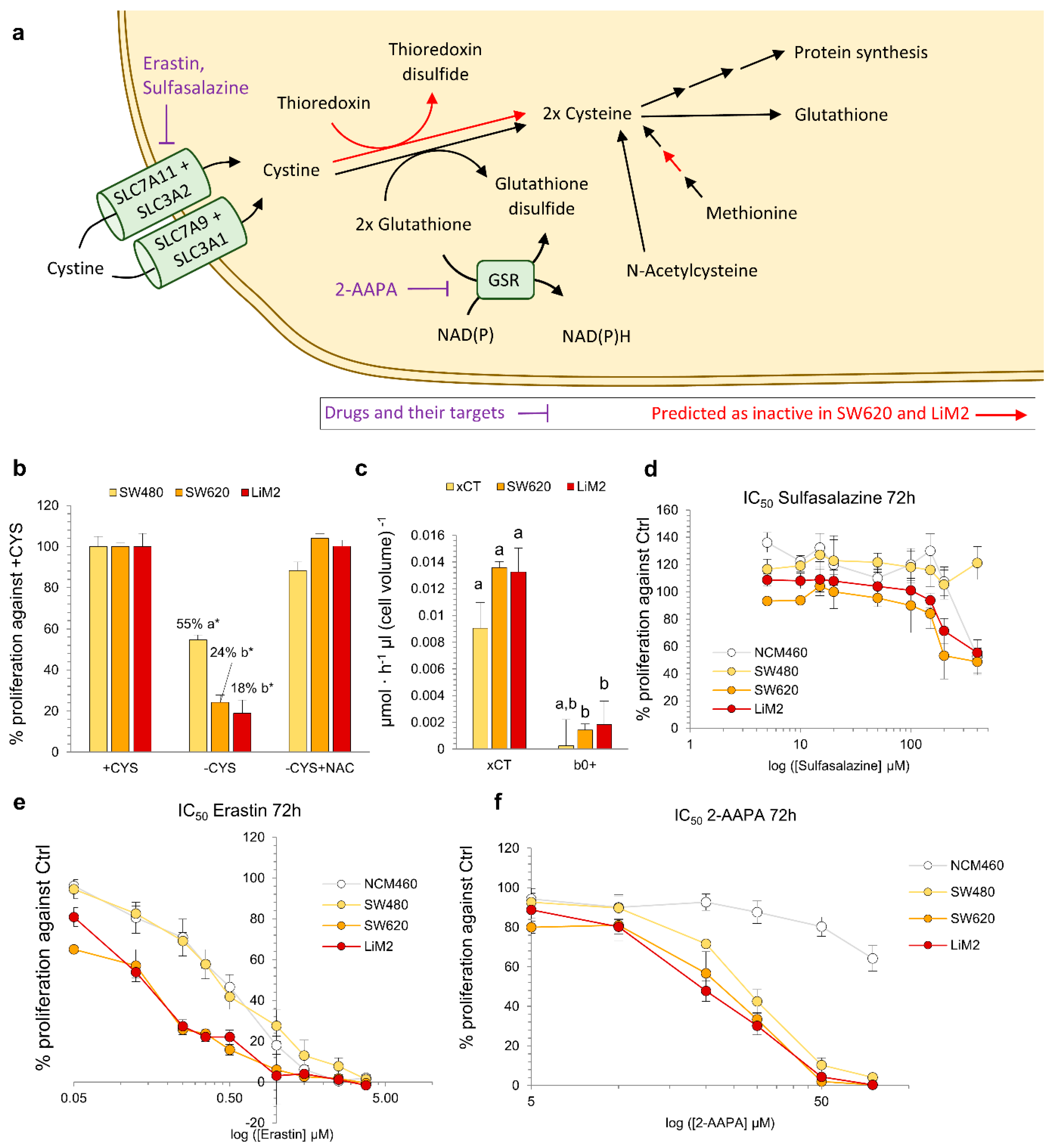 Cancers 13 00425 g005